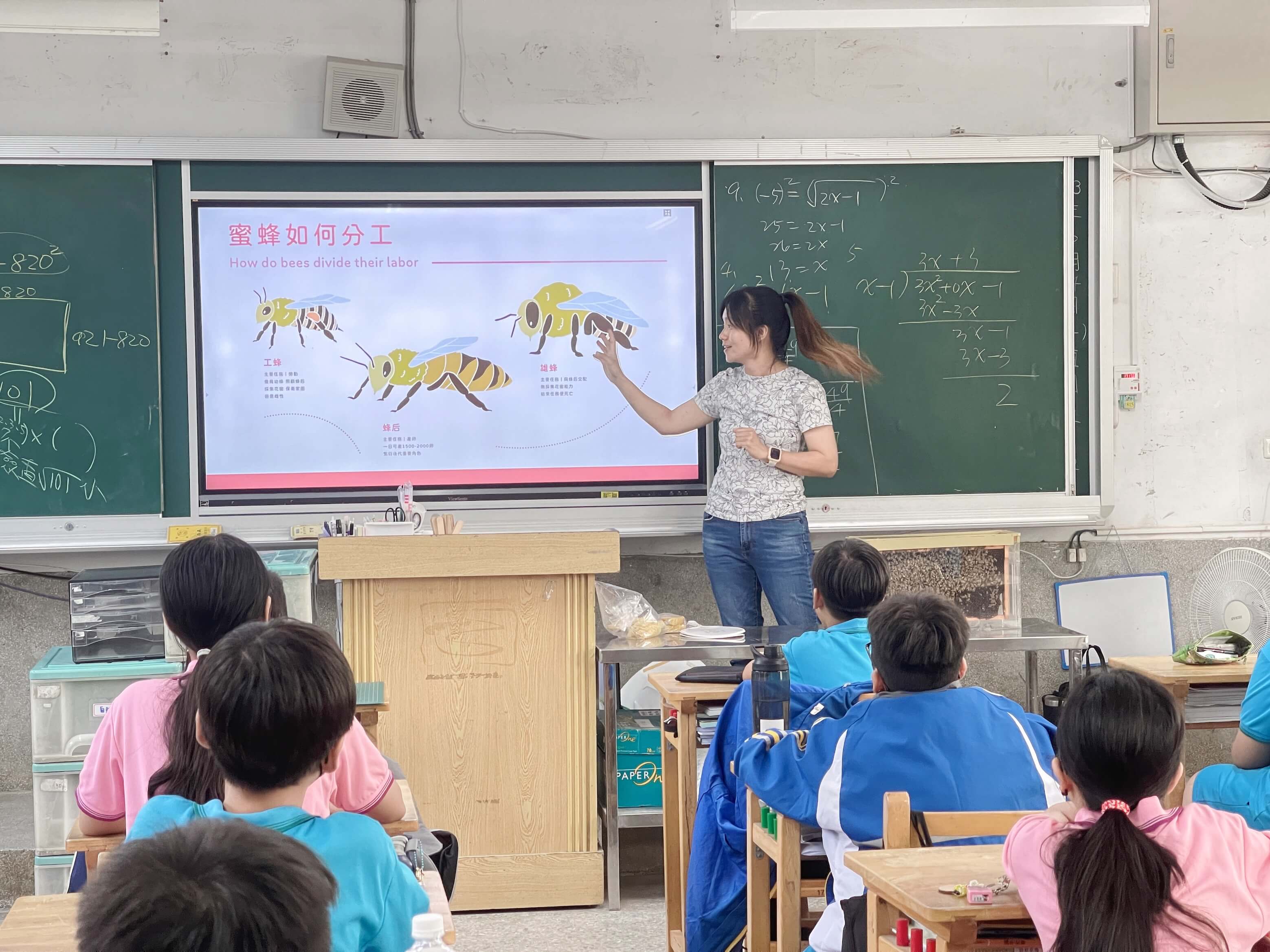 昇鋒蜂場蔡勝峰、顏雯玉化身蜜蜂大使，透過教學箱傳遞「蜜蜂生態教育」。（照片來源／森果川自造所提供）