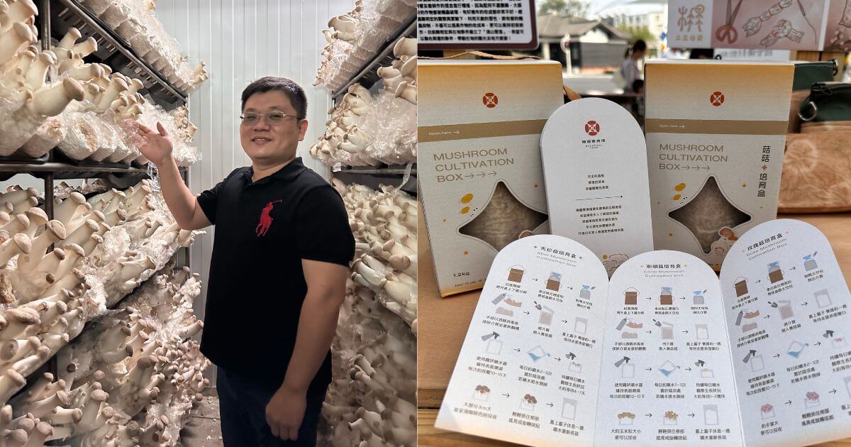愛吃杏鮑菇而投入熱愛的養菇事業,圃圃豐杏鮑菇農場蘇建誌從科技新貴轉型成為專業菇農。(照片來源/森果川自造所提供)