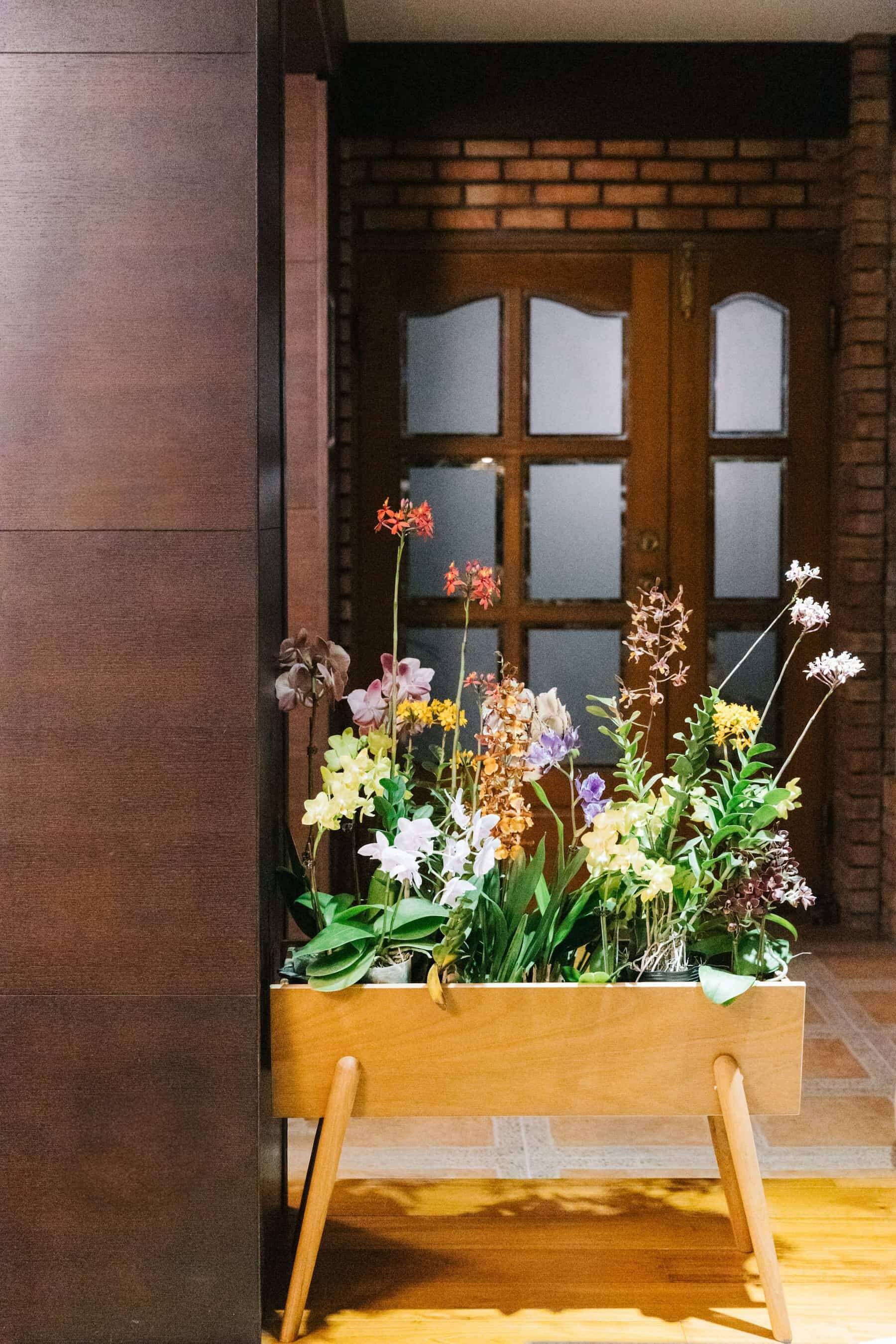 台灣蘭花的型態、顏色繽紛，多樣性與豐富性超乎大眾認知，圖為Yuty私宅工作室中的蝴蝶蘭、羚羊石狐、文心蘭等不同種蘭花。