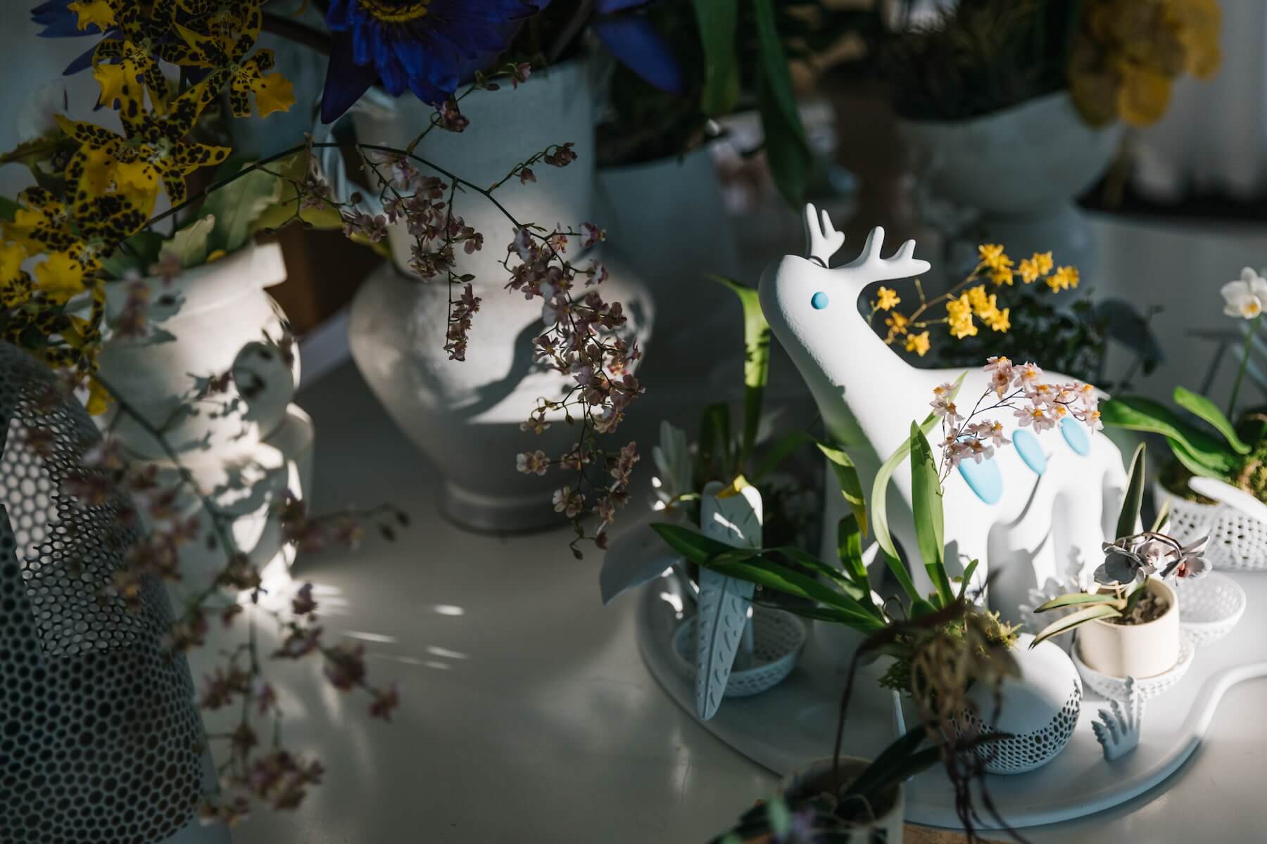 蘭花代表角色Orchidsord八隻腳的造型與蘭花多根系的特性相呼應，空隙則便於養殖植物，讓視覺藝術與蘭花的養殖產生有趣的結合。