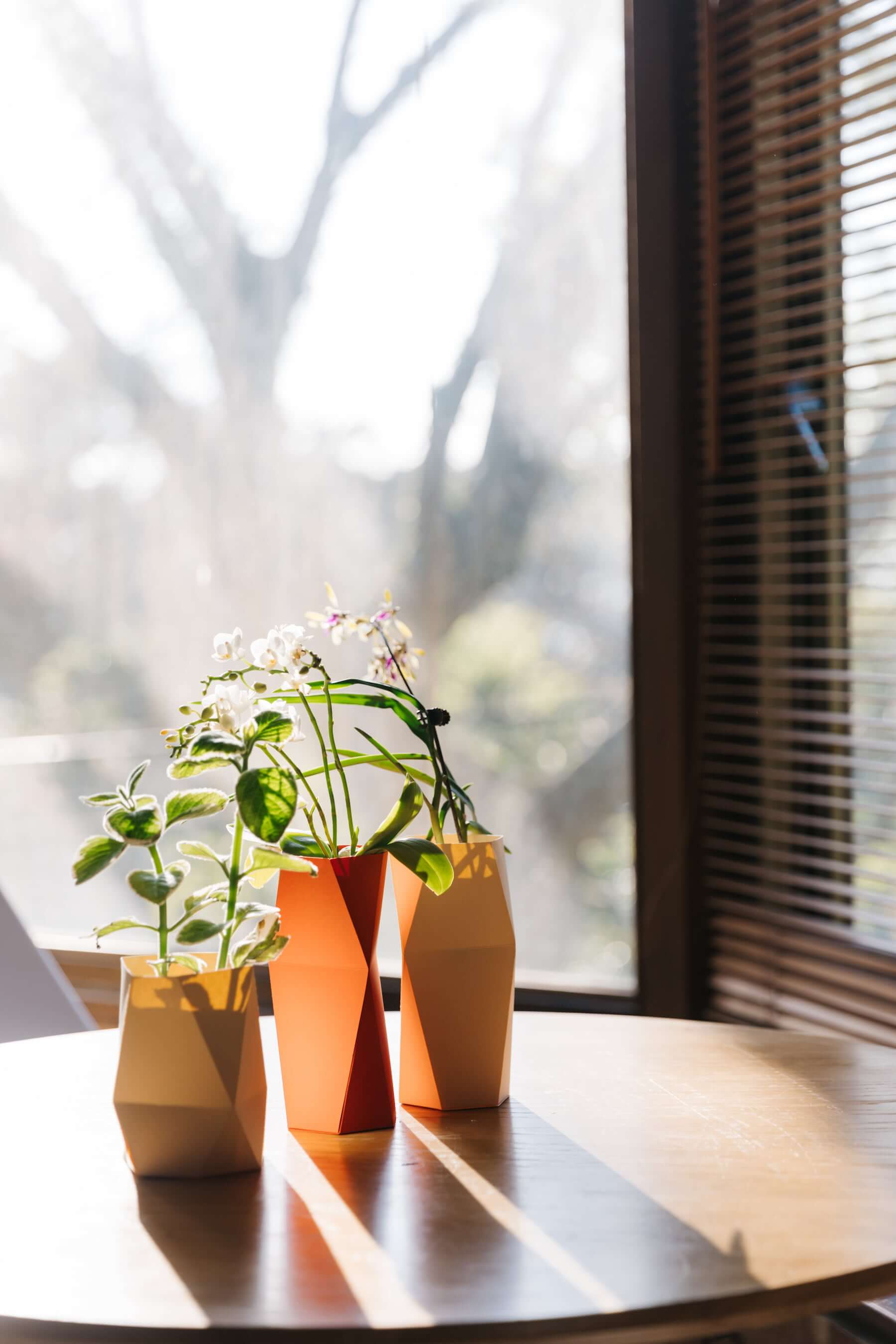 「紙花器」防水的紙張材質，可回收且造型可塑性高，呼應蘭花的永續與持久特性。