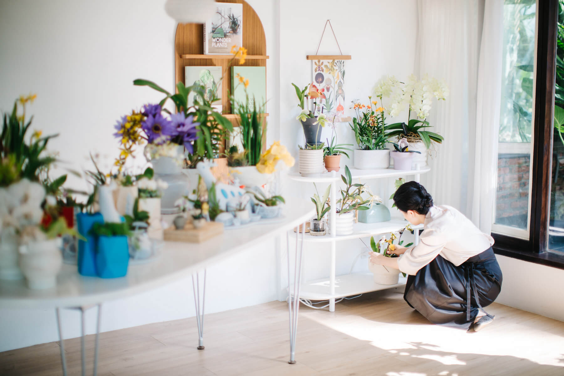 Yuty的工作室中種植許多不同種類的美麗蘭花。