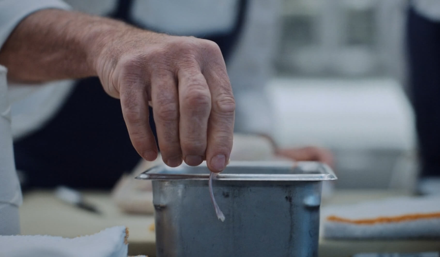 烤雞在綁雞之前，必須先移除叉骨，因為叉骨位置剛好影響分切雞胸的下刀，而中式料理則不會特別去除。