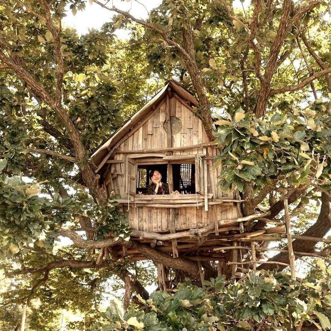 圖片提供｜曹貞熙