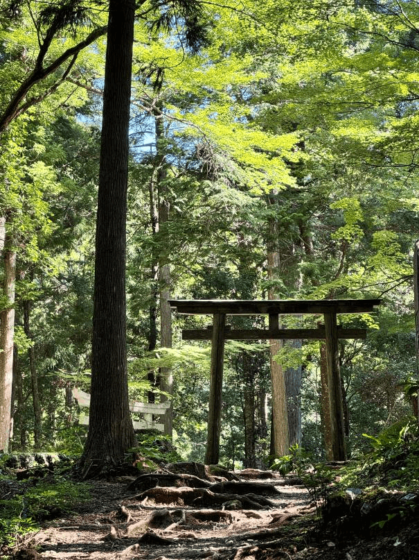 圖片來源/和歌山縣觀光交流課