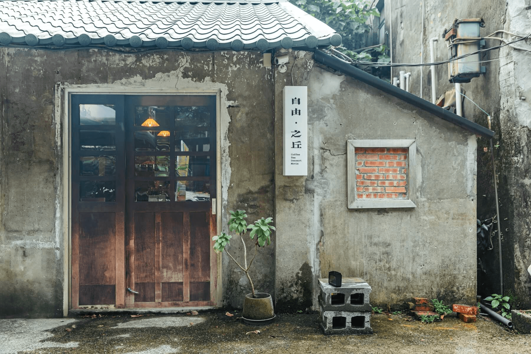 攝影／日常散步 李盈靜