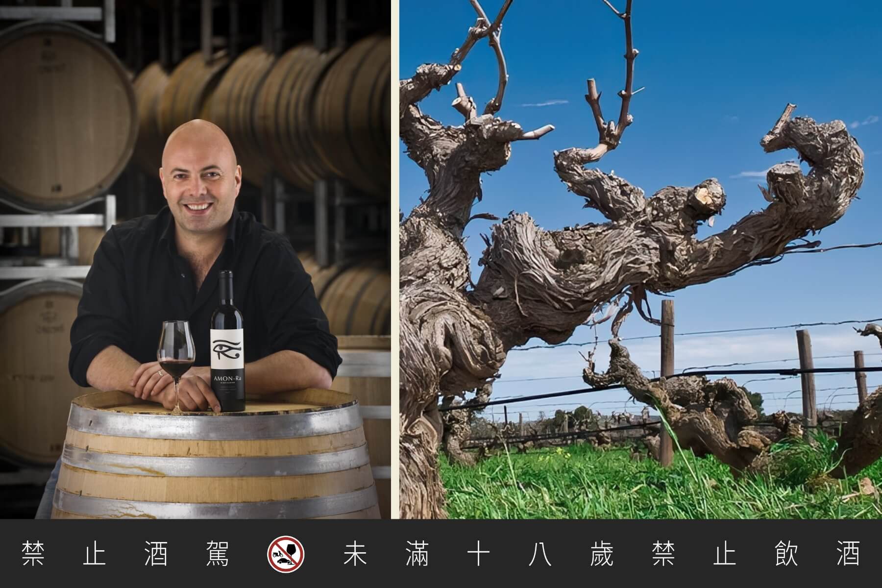Ben Glaetzer承襲父親的釀酒才華，以130年希哈老藤葡萄釀就「Amon-Ra」（蒼穹之眼）被譽為澳洲酒王。