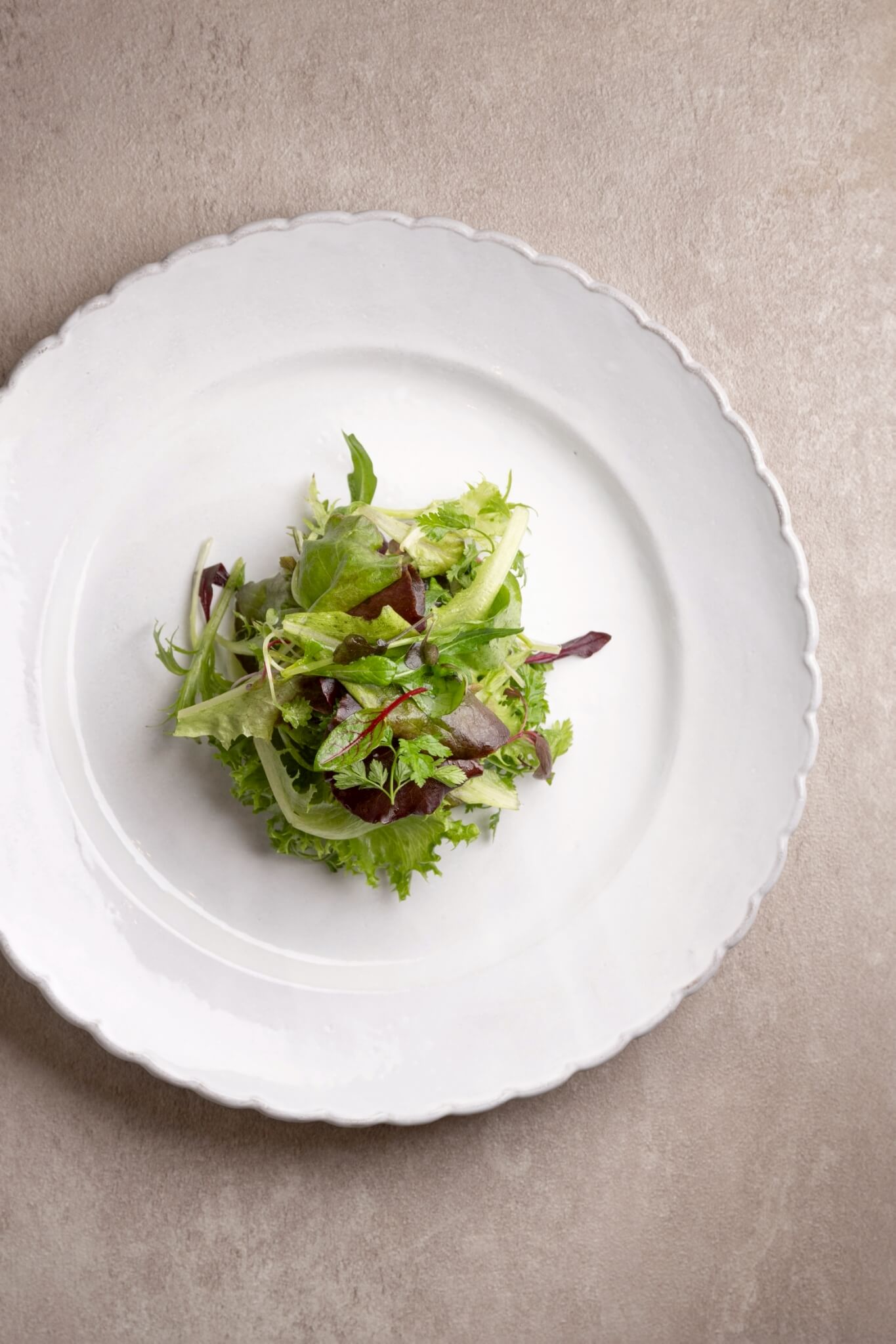 高雄 苗菜／圖片提供 Li.nu