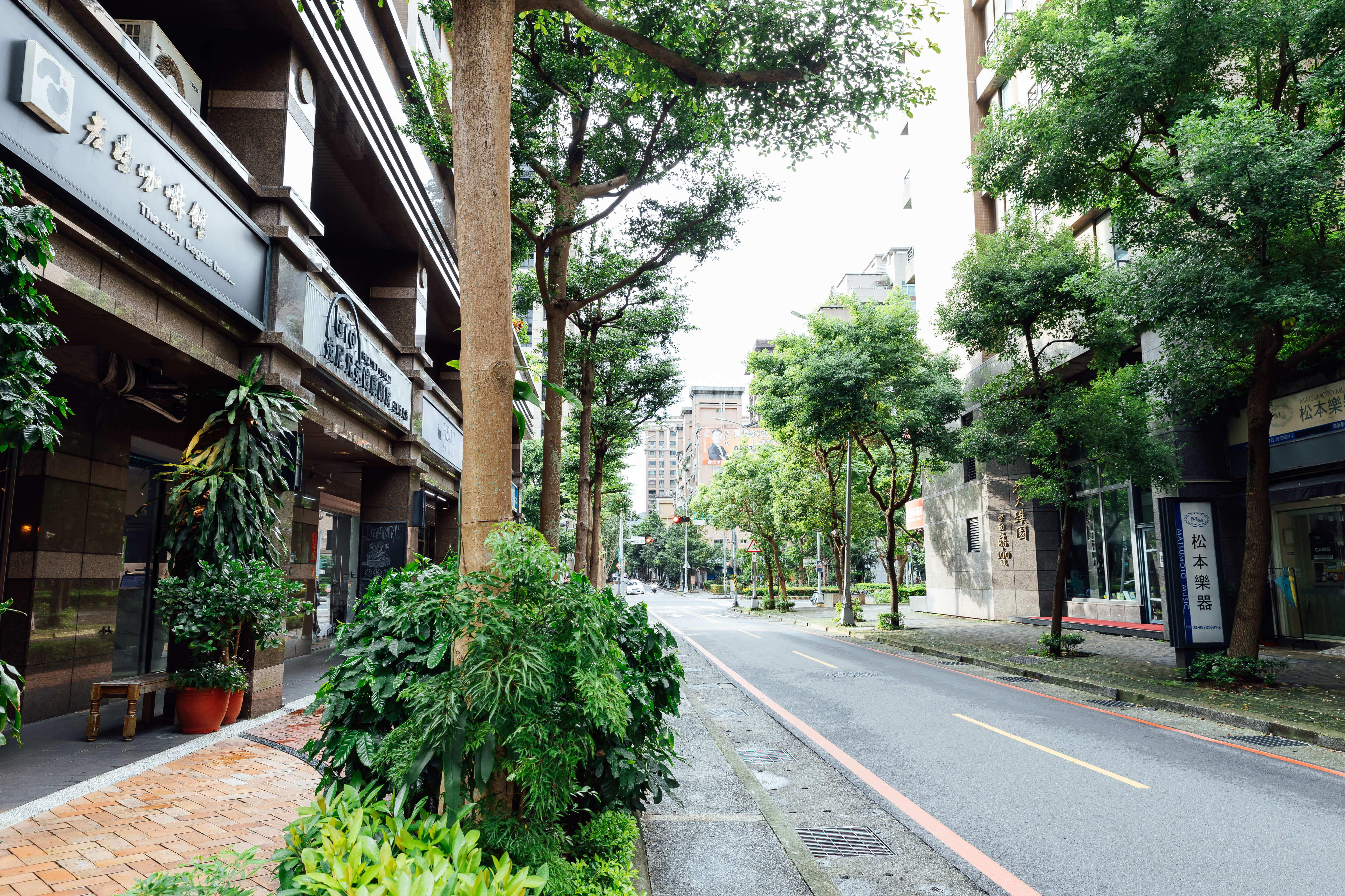三峽北大大觀路