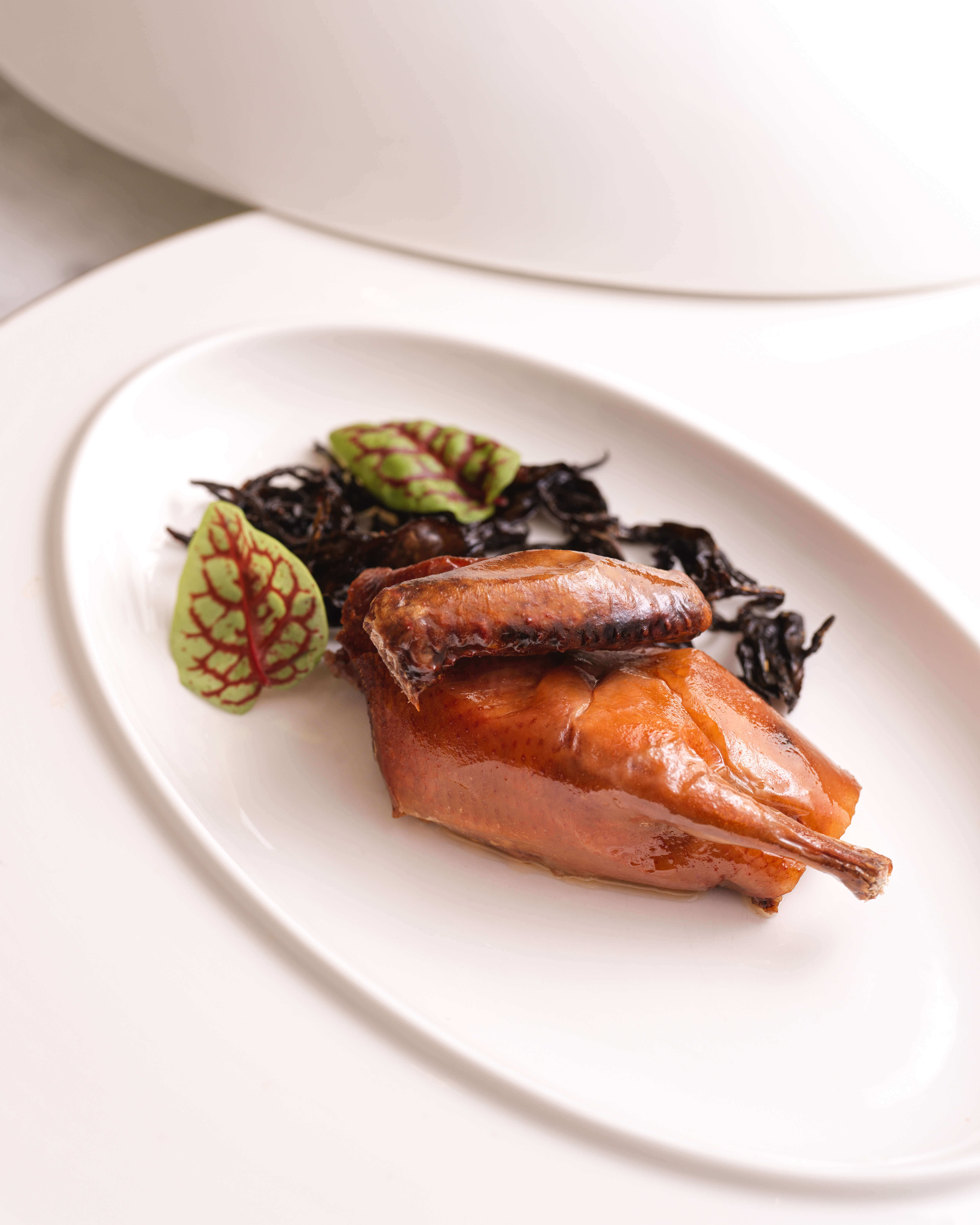 柱菜｜舞鶴紅茶乳鴿