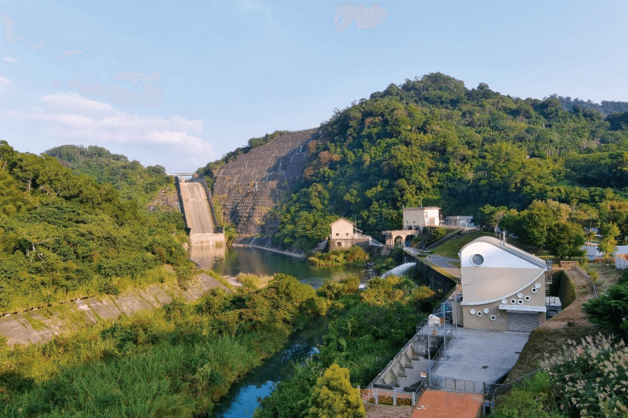 每年四至六月，數不清的紫斑蝶停在卓蘭發電廠休息。（照片提供：台電）