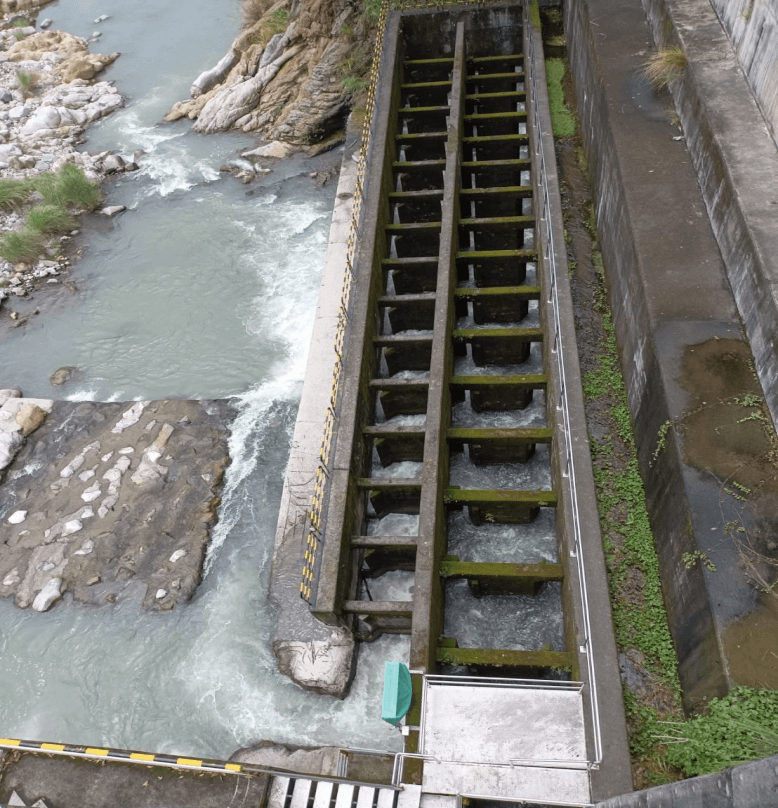大甲溪發電廠在設計馬鞍壩時，考量壩體可能對於魚類產生衝擊，便將魚道融入設計當中，維護水域生態。（照片提供：許鴻龍導演）