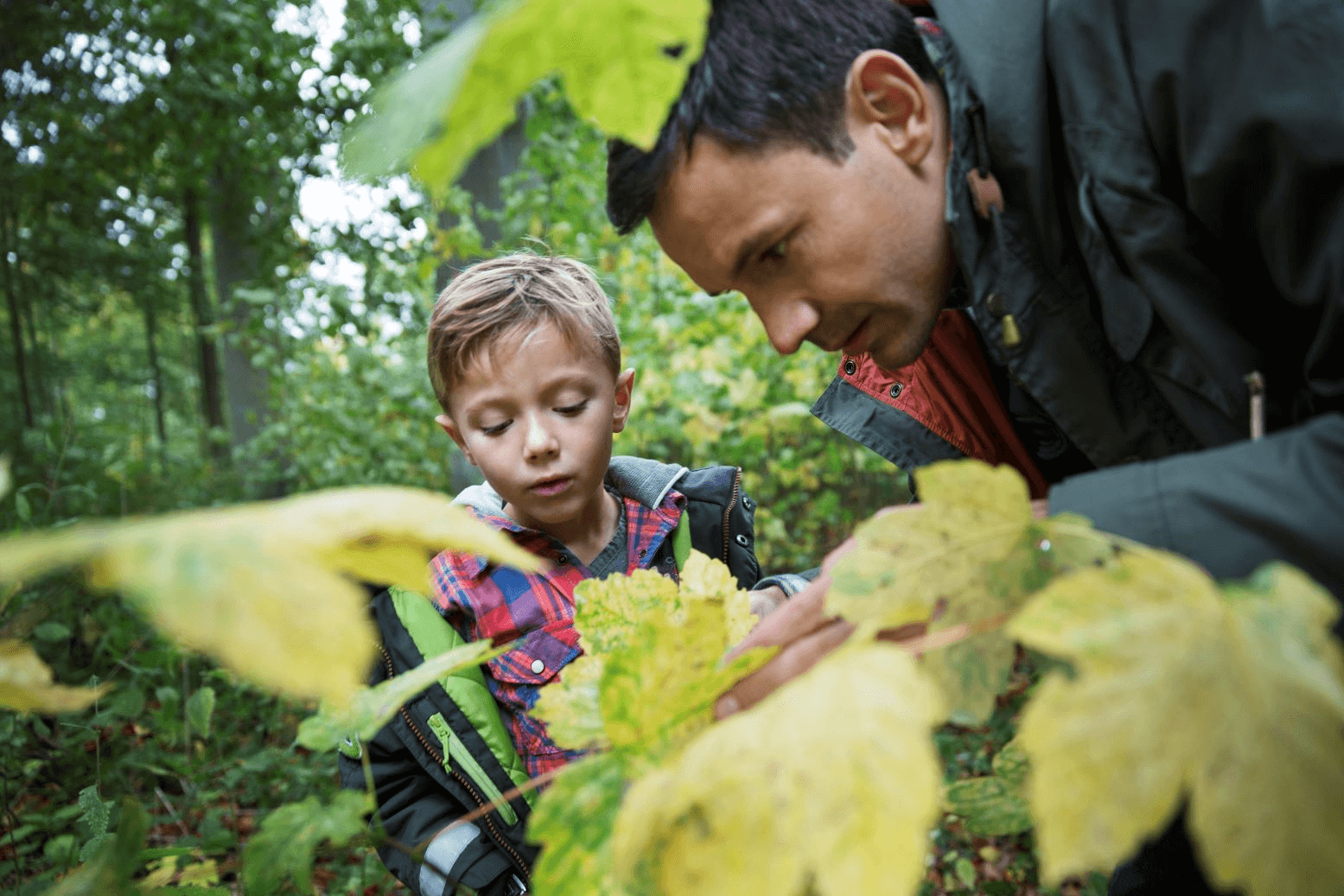 台灣旅人會在度假時轉向「更安靜」的嗜好，尋求專注、反思與減壓的休憩方式。超過半數（全球57%；台灣81%）的願意觀察昆蟲。