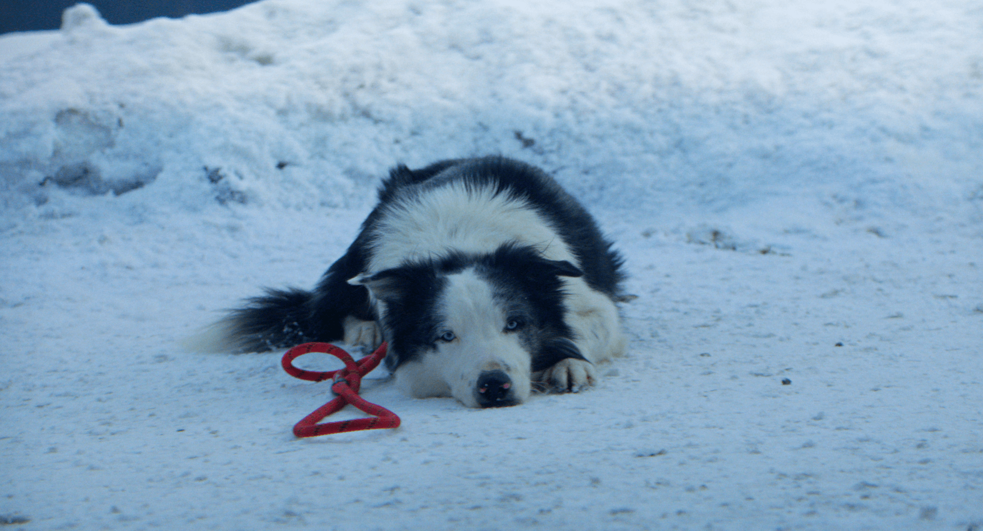 《墜惡真相》劇照