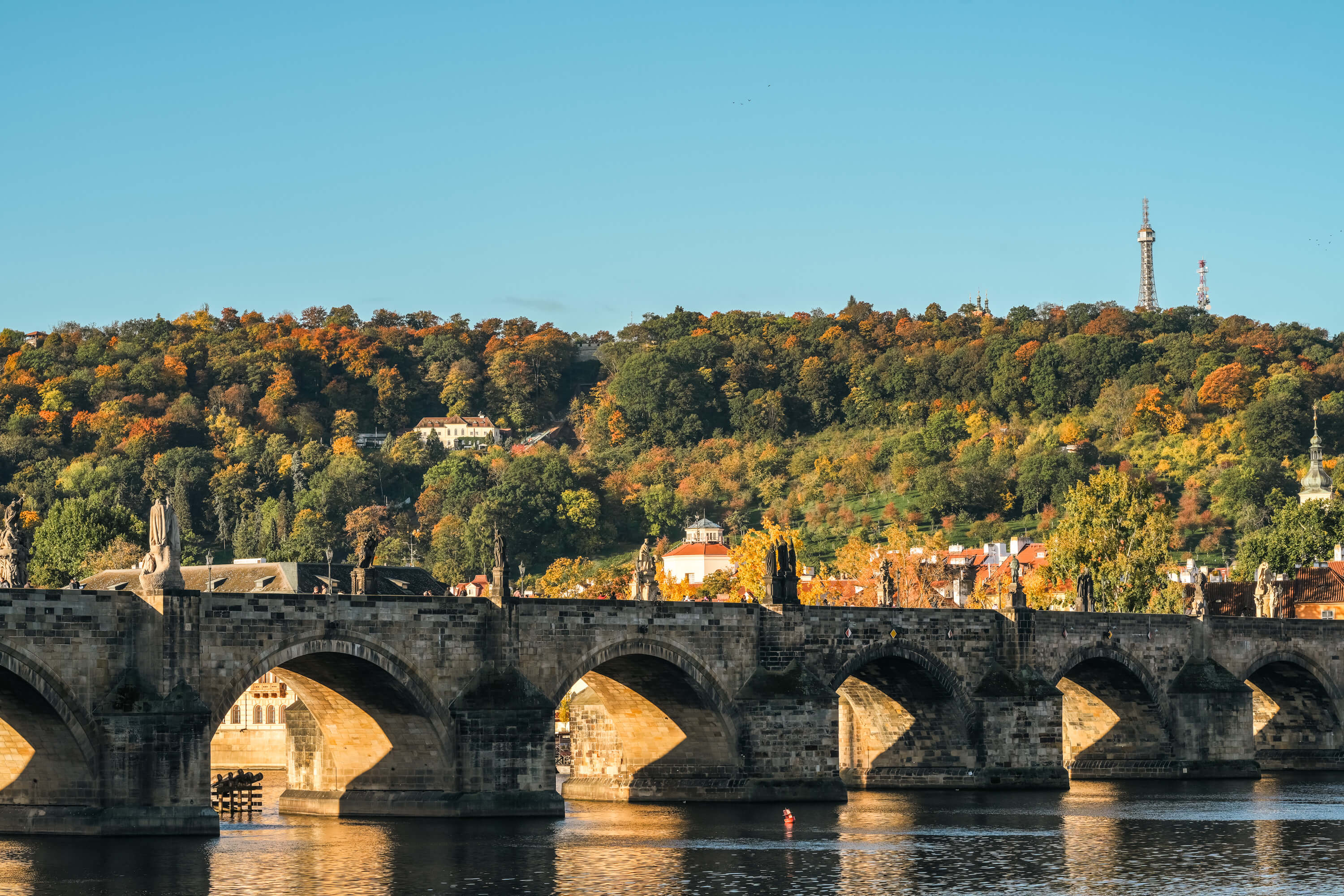 圖片提供／星宇航空