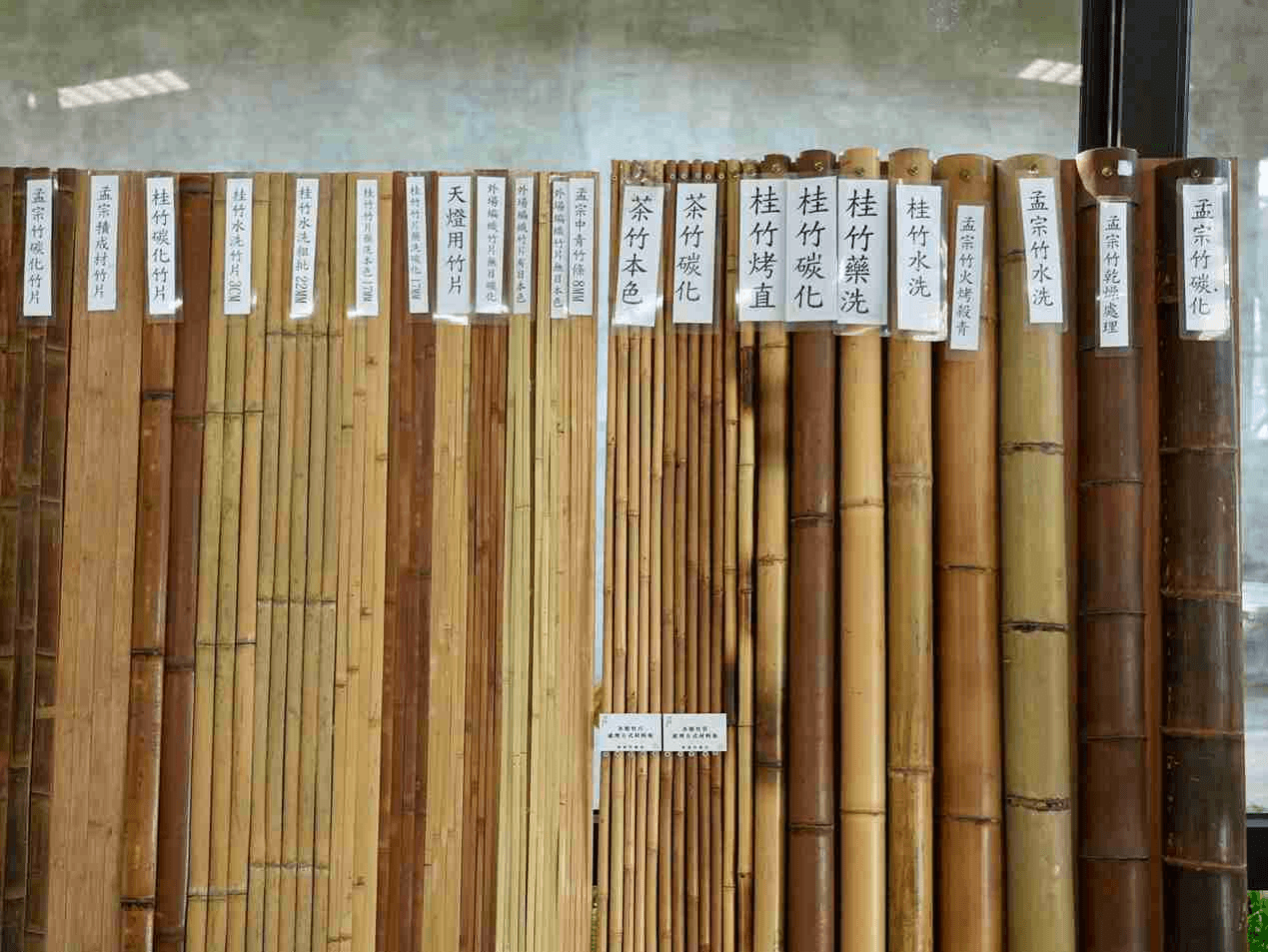 透過建築展、植物展、工藝展三大主題，帶領民眾從材料、工法到生活應用，重新認識竹的可能性。