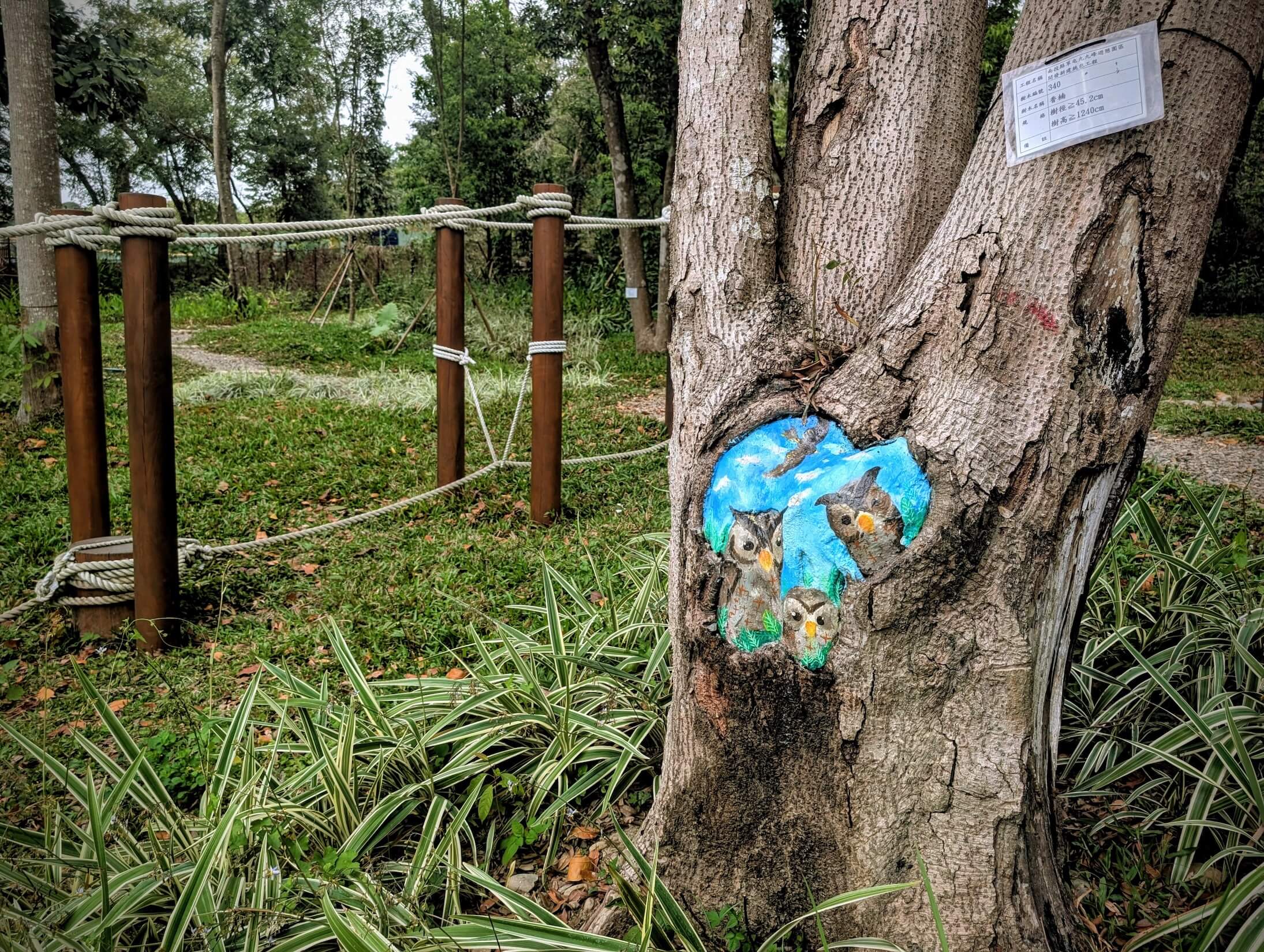 園區內有豐富林木，以藝術彩繪修補樹洞帶來保育思考。
