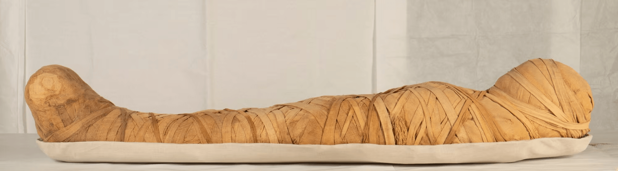 木乃伊 © Museo Archeologico Nazionale di Firenze