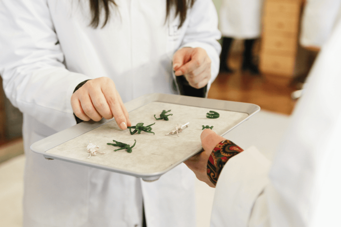 在大師級教授的指導下，L'ÉCOLE課程讓學員深入體驗珠寶製作的設計及工藝。