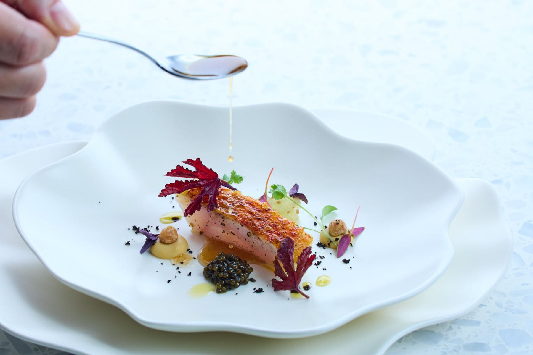 Chef Alain將時常被誤認為鳥類的長尾鳥入菜，佐以茄汁魚子和鷹嘴豆，向Caviar Aubergine致敬。（圖/A）