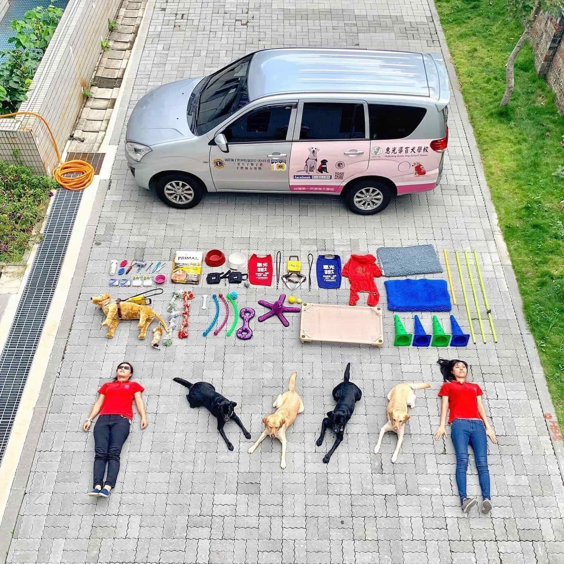 惠光導盲犬學校