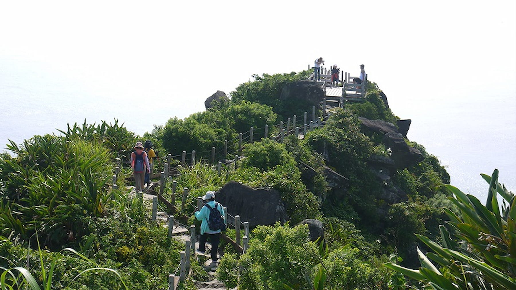 旅客可以沿著島上的登山步道攻頂基隆嶼最高處（圖／Thomas Chen授權）