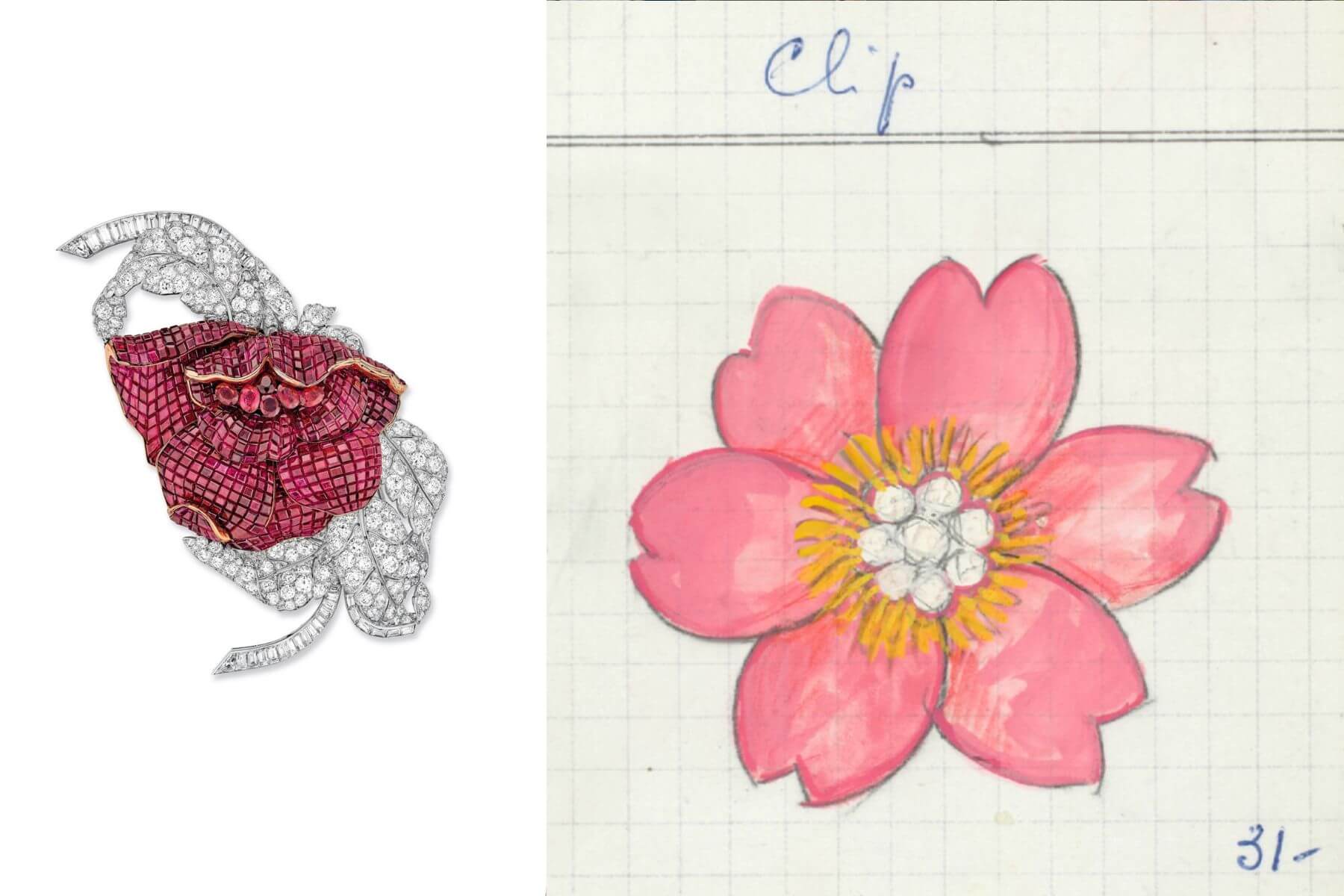 Pivoine胸針，1937年 鉑金、黃K金、Mystery Set隱密式，鑲嵌紅寶石、鑽石（左）；Van Cleef & Arpels Collection Rose de Noël胸針產品記錄卡，1970年（右）。