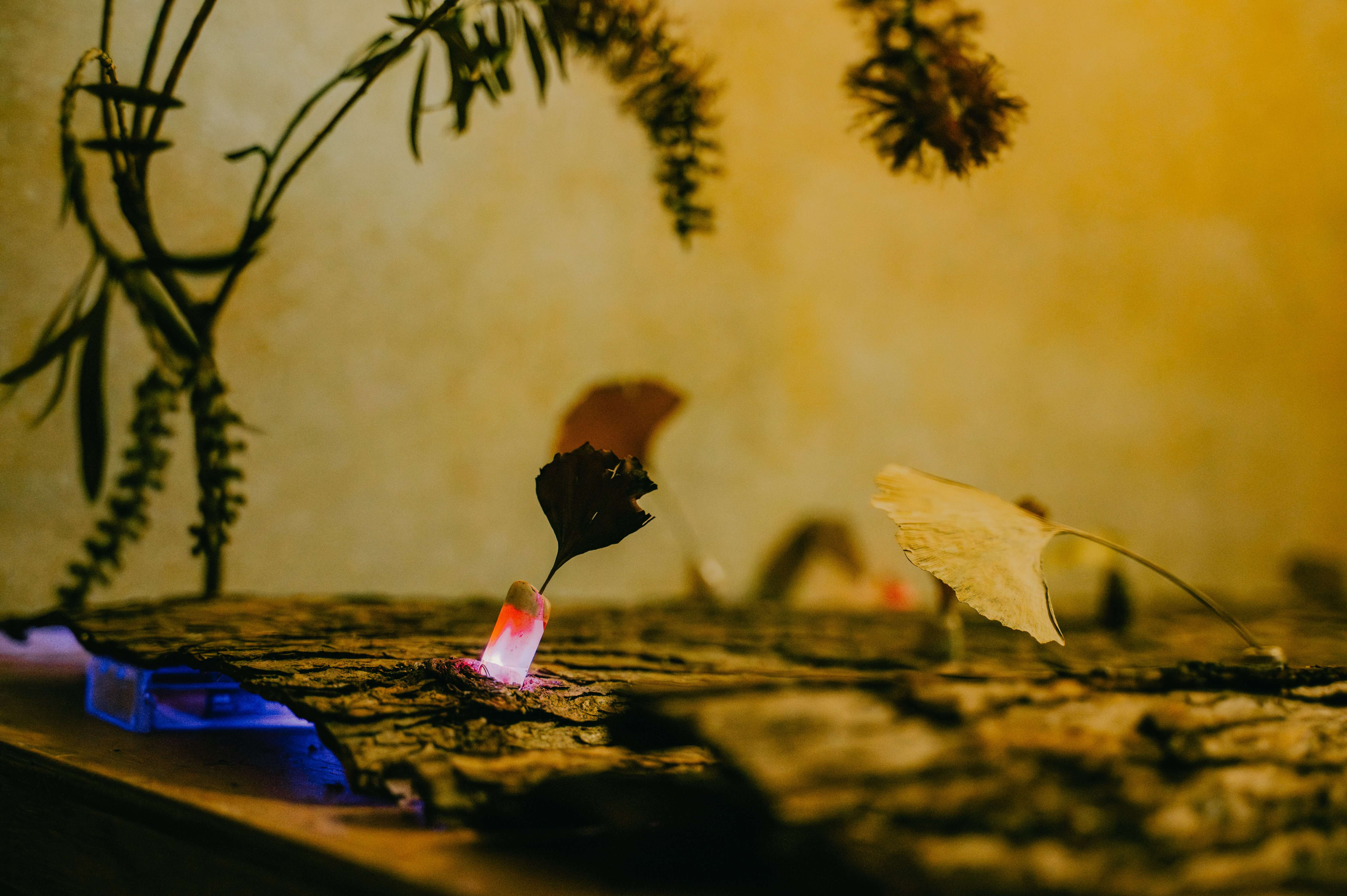 辰冶行、林佩璇的作品《珖》。