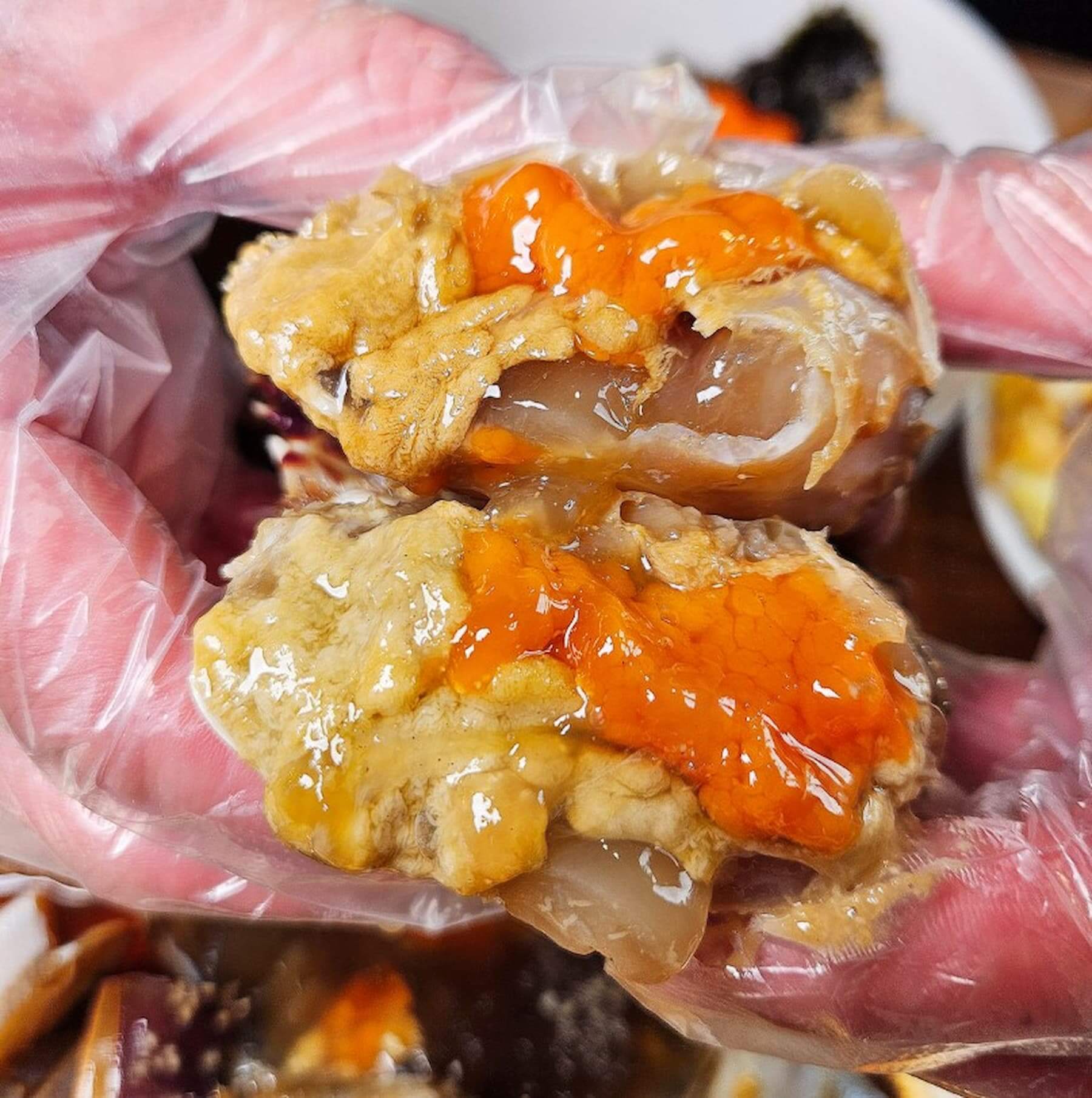 圖片來源／꽃게나라 Naver