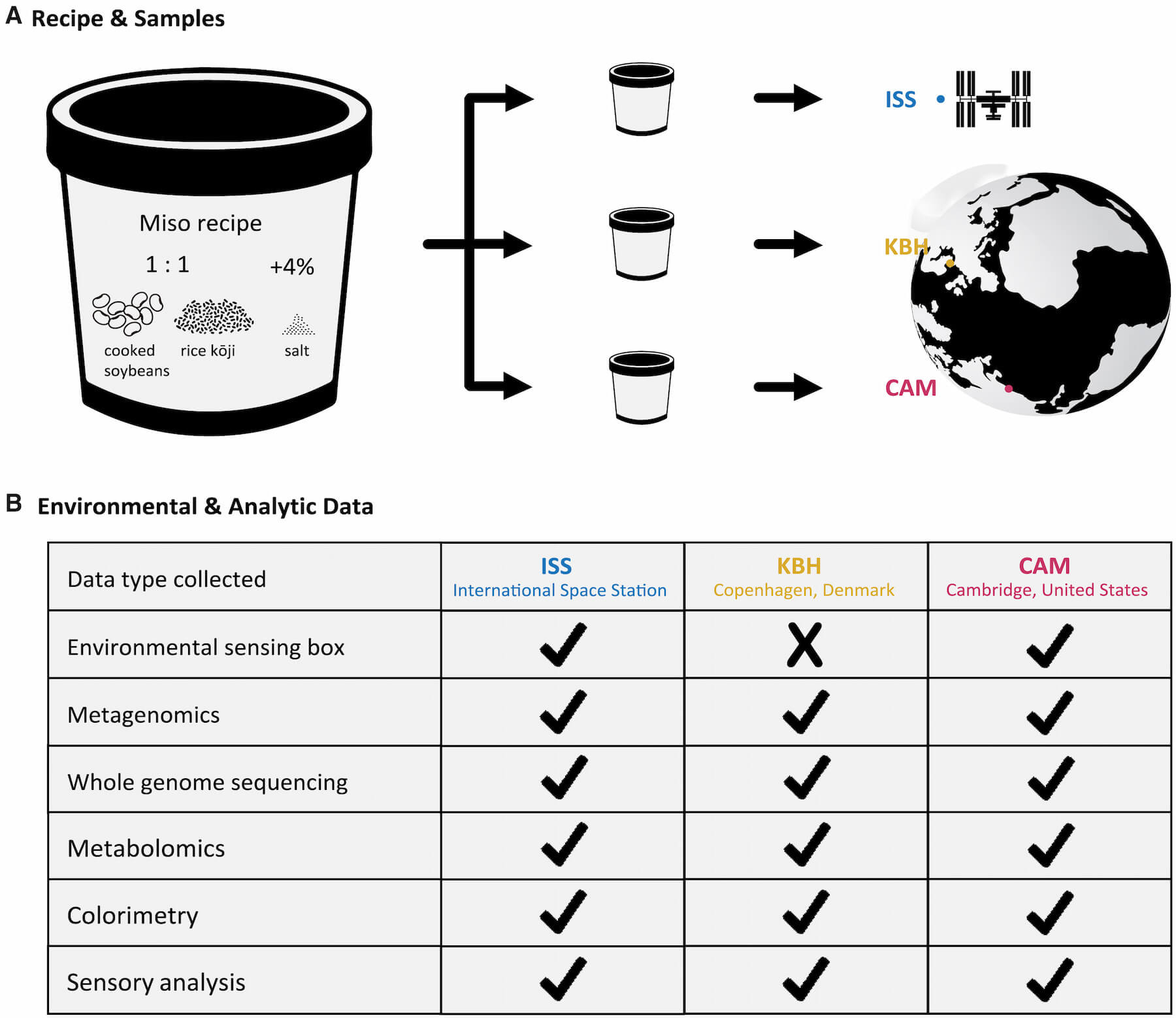 研究團隊將味噌原料送上國際太空站發酵30天，與兩組地面樣本進行分析，包括氣味、揮發性化合物、微生物組成、色澤及感官評估，顯示太空味噌的風味與地球味噌相差無異。（圖片來源／iScience）
