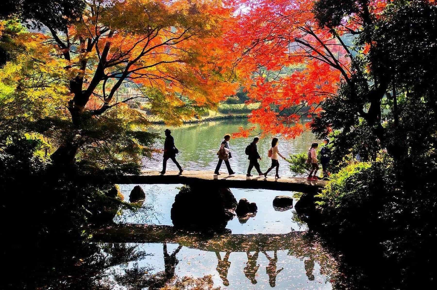 位於文京區的六義園是國家名勝（圖片來源／yokokenchan ©123RF.com）