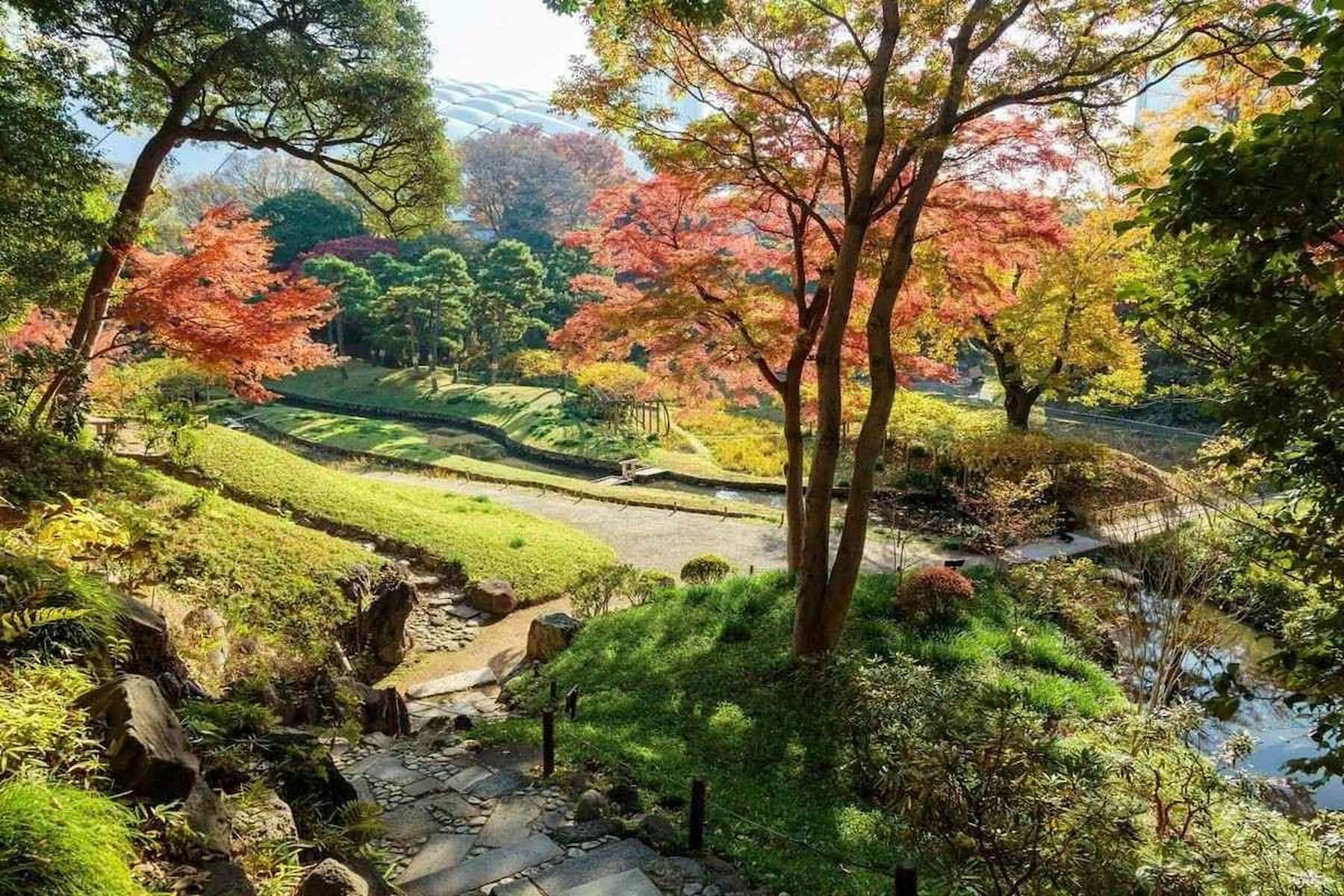 小石川後樂園隔壁就是東京巨蛋，卻有它的1.5倍大（圖片來源／東京旅遊 Go Tokyo 官方Facebook）