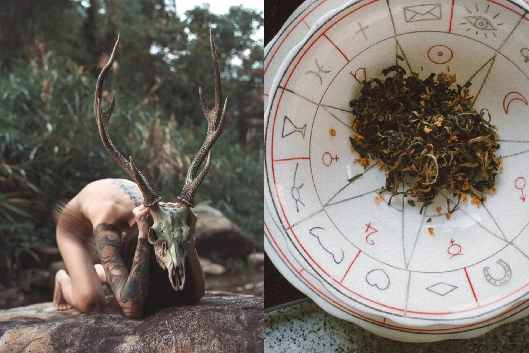 闇黑森林中「雞男哲學」的神秘獸骨（左）以及香港品牌「Denise is Trollcunning」帶來的茶占卜（右）。.