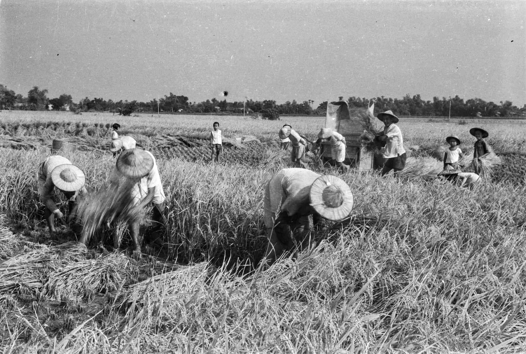 1962 年的中港路（現為台灣大道）周邊土地利用仍以農業用地為主，1970 年代才正式開發為 50 公尺的八線道路，爾後於 2014 年全縣更名為臺灣大道。