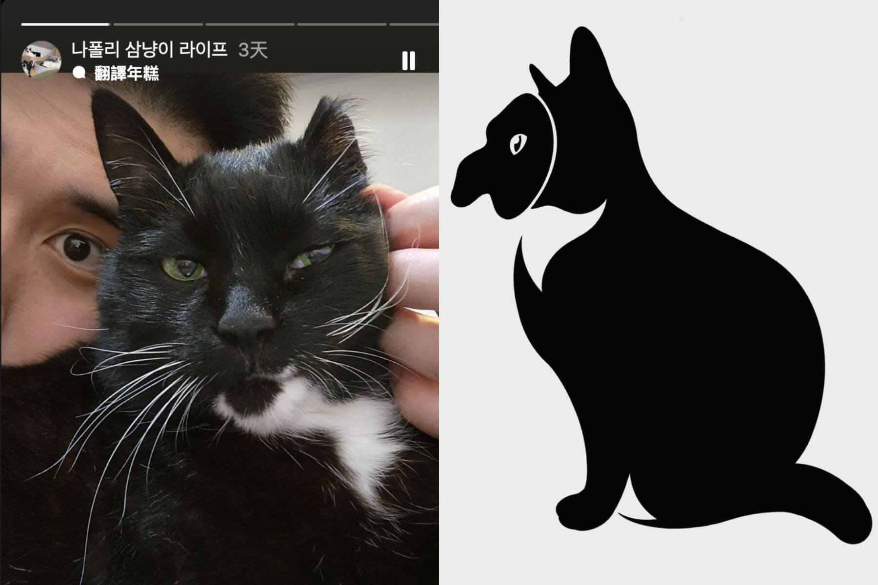 外表霸氣的「拿坡里美味黑手黨」私下其實是個超級貓奴。（圖/權成俊個人IG）