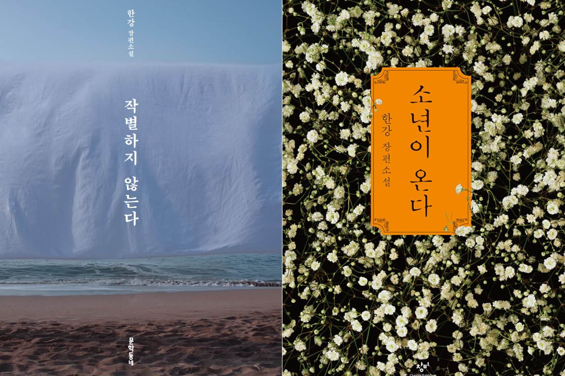 左為韓江最新創作《永不告別》，右為她第一本長篇小說《玄鹿》。（圖/韓江個人網站）