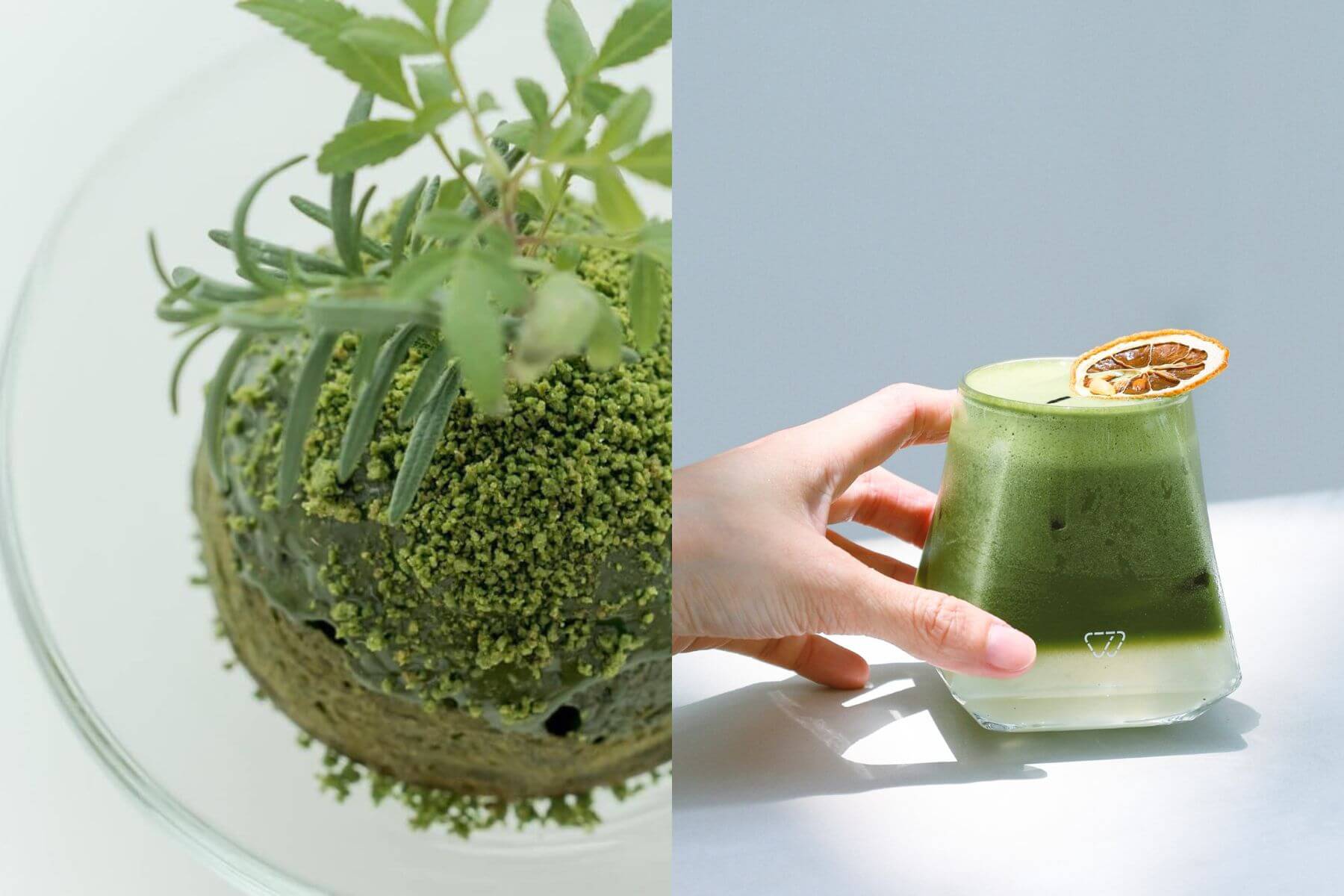 春室限定抹茶苔球，配上日本宇治青檸抹茶，是場多層次的抹茶饗宴。（圖/南美春室）