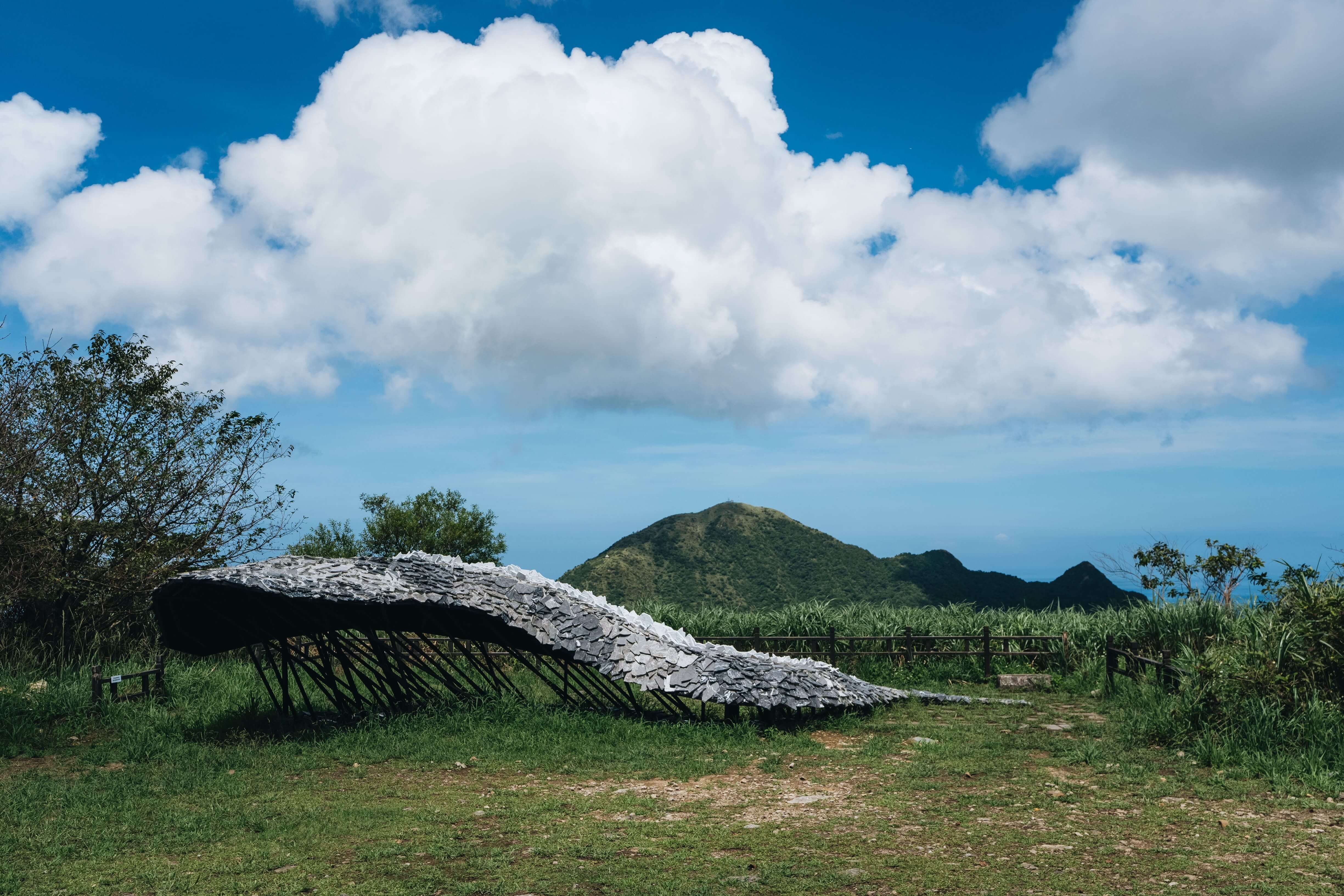 曾令理與偶然設計團隊的作品〈山伏獸〉和遠方的基隆 山景。