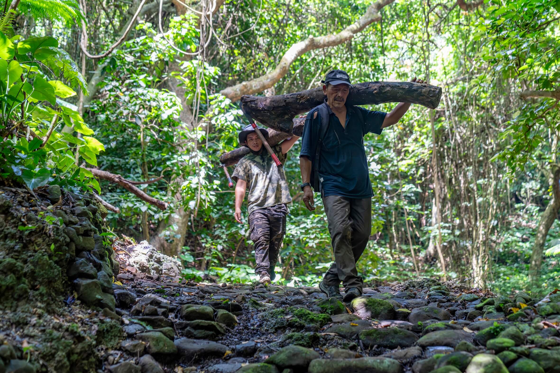 夏曼・藍波安與兒子踏入山林，以造舟技藝延續三代傳承。