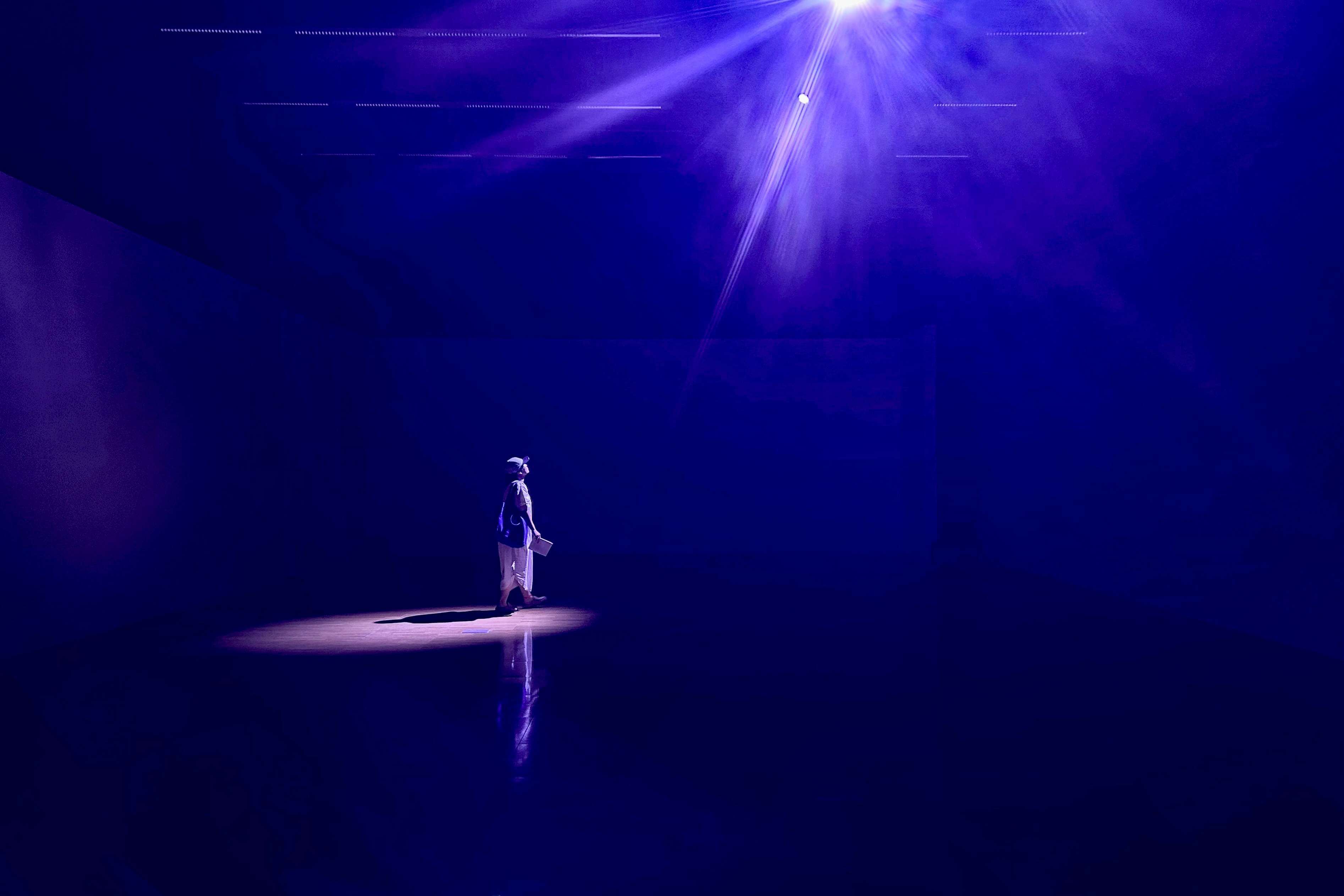 鄭先喻〈光蹤〉，2025。圖片提供：國立臺灣美術館。