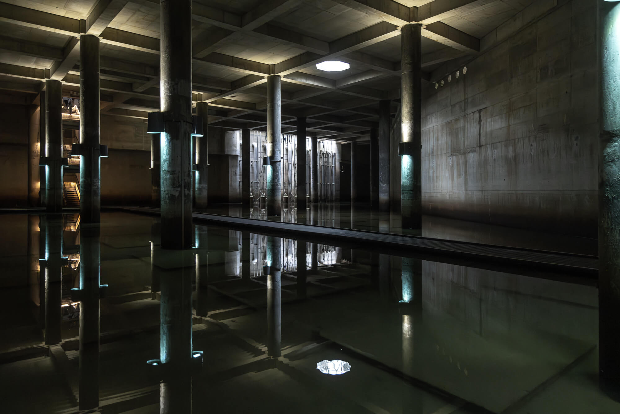 桃園《大樹林滯洪池 — 水の秘密基地》