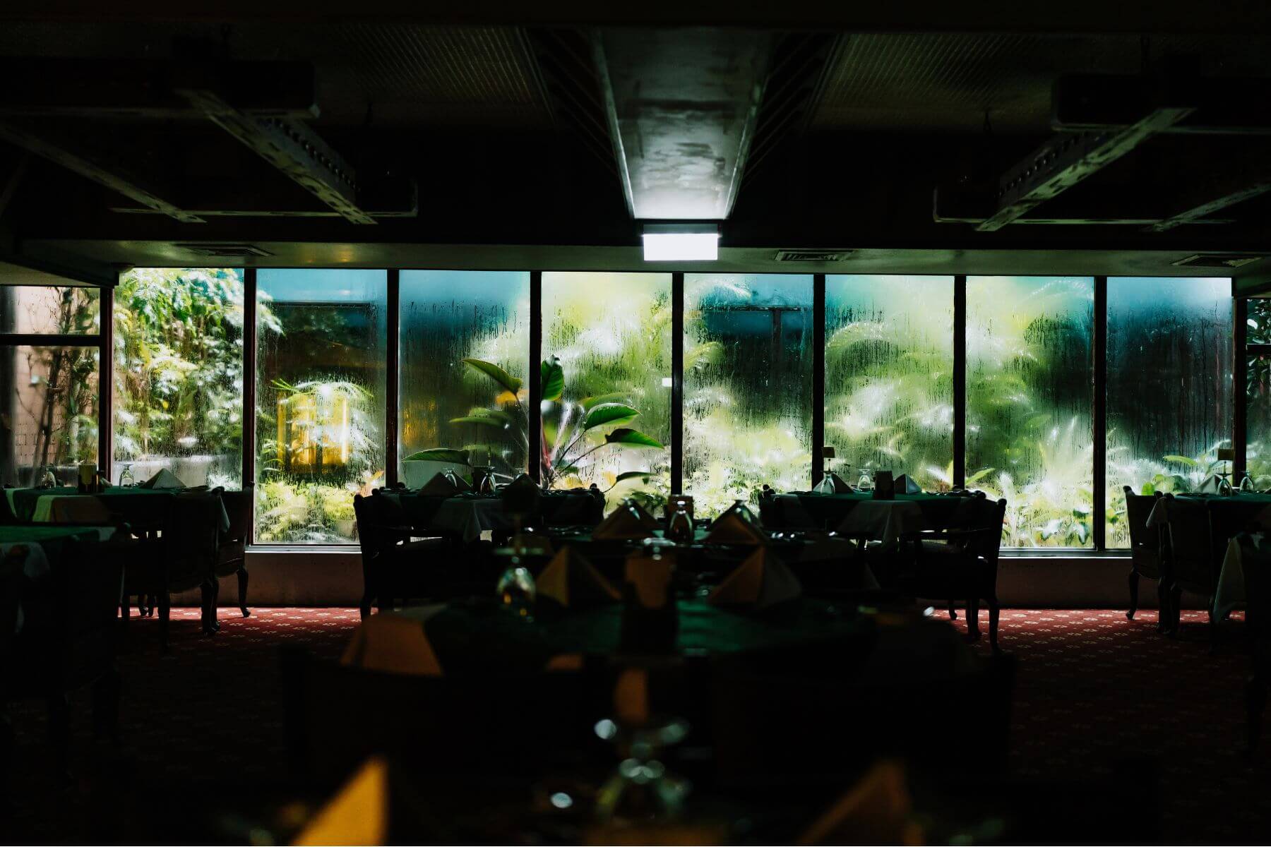 即便位於地下室，餐廳仍擁有獨特的戶外天井景緻。