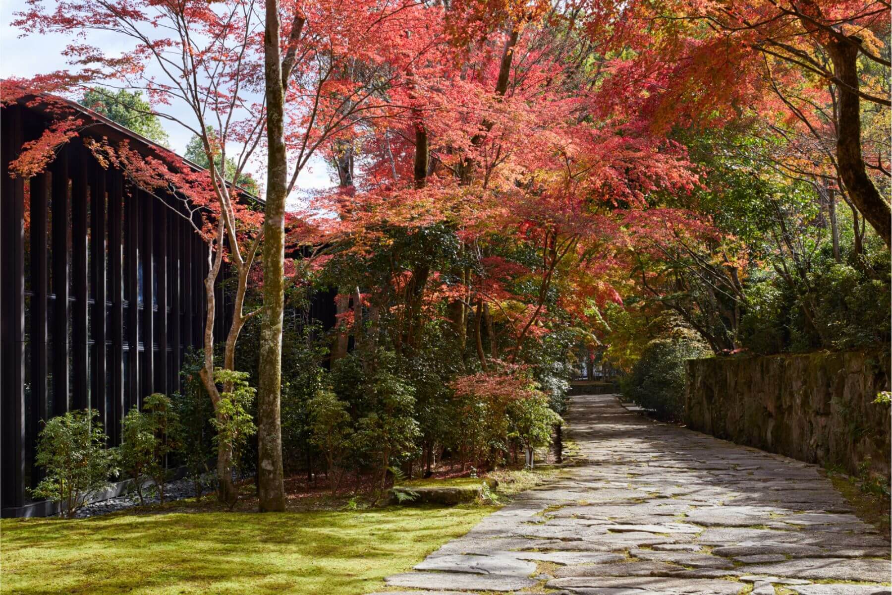 如世外桃源般，染上秋意楓紅的安縵自然生態。