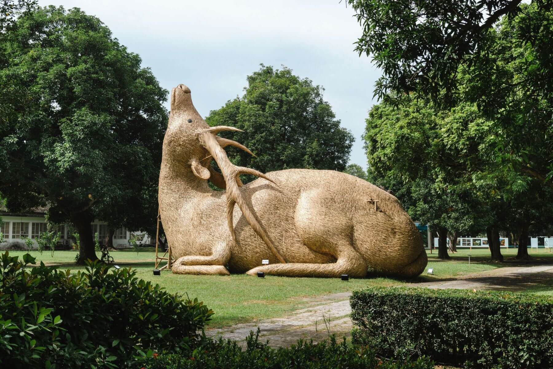 第22屆台新藝術獎入圍作品－《2022Mattauw大地藝術季－曾文溪的一千個名字》－圖片作品 劉哲安〈醒祂：你的鹿－我的路〉（Mattauw大地藝術季團隊／提供）