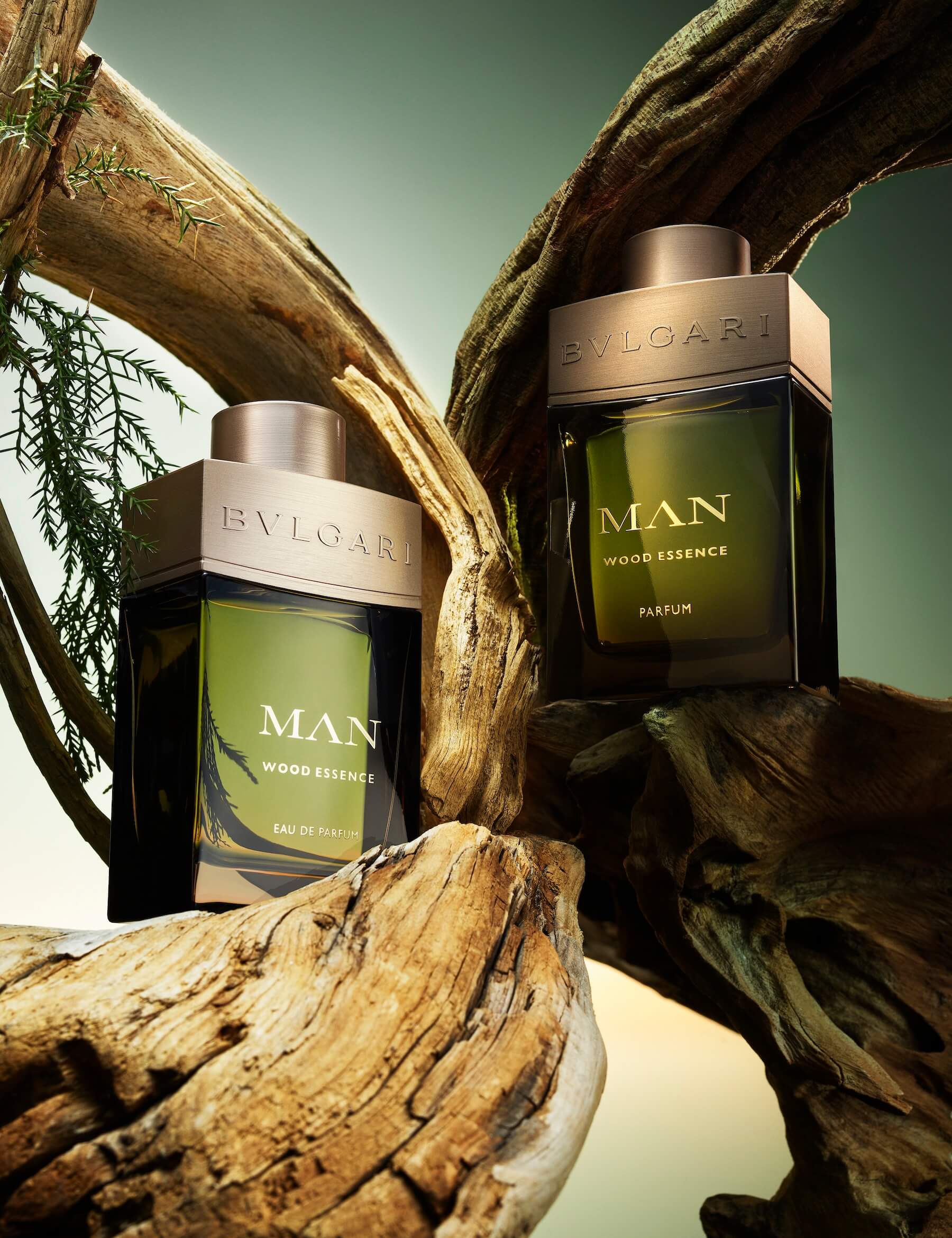 寶格麗 城市森林香精 ( Bvlgari Man Wood Essence Parfum ) 。