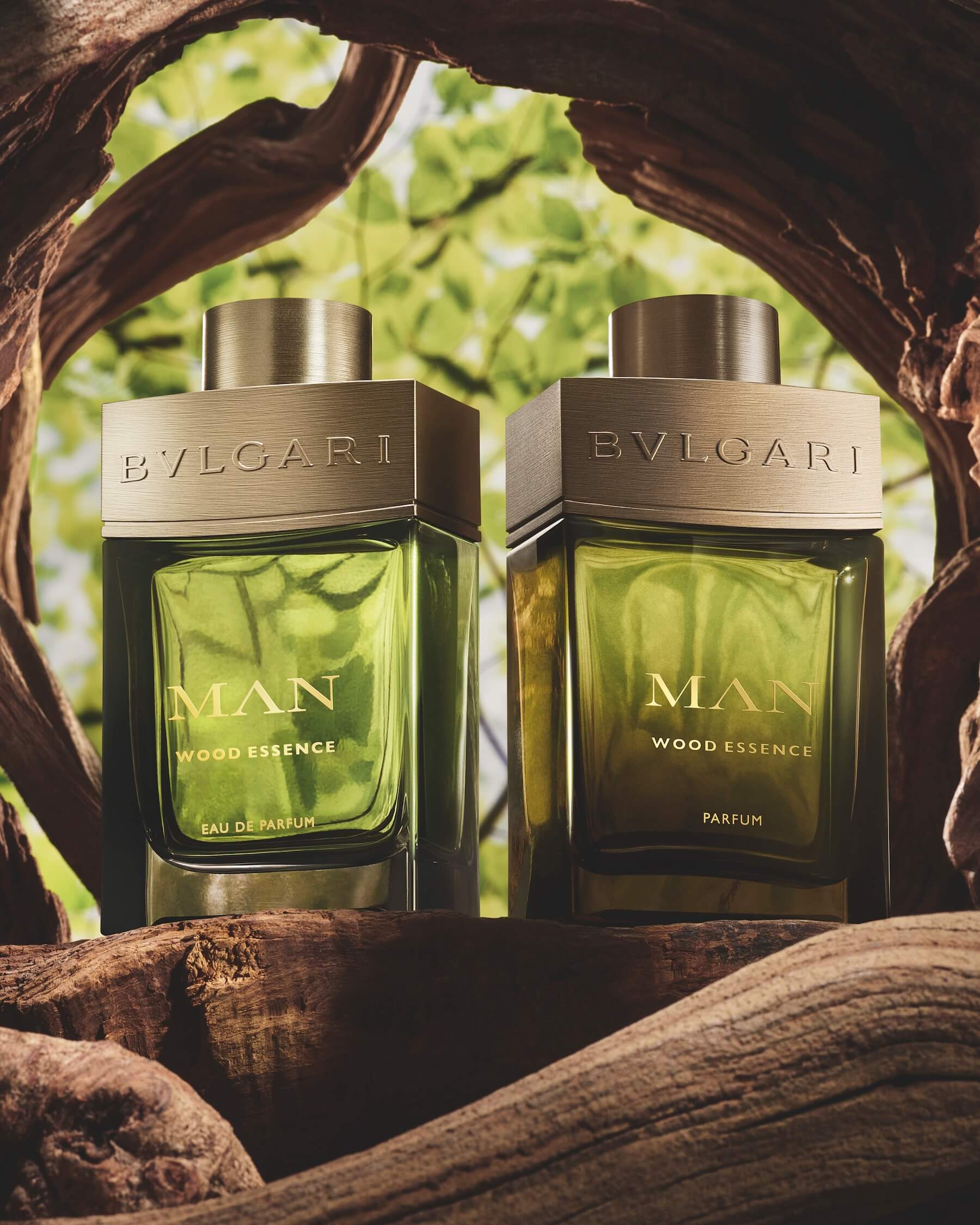 寶格麗 城市森林香精 ( Bvlgari Man Wood Essence Parfum ) 。