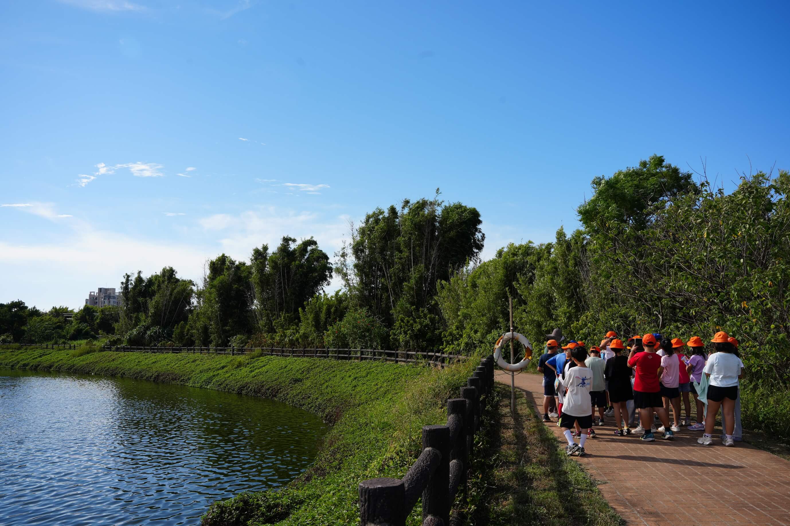 新坡國小師生走讀學校陂
