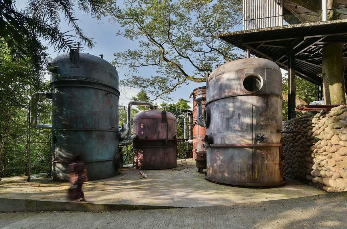 九樹森林。圖片來源｜@9trees_lafelicita