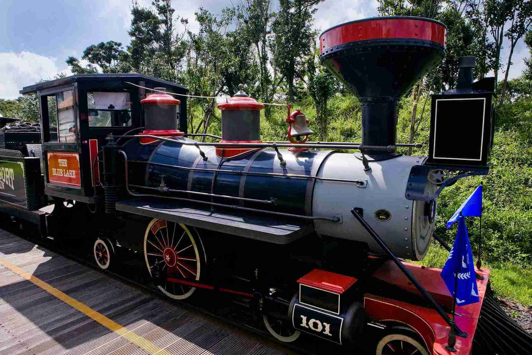 來到「ECOLAND森林小火車」，可搭乘仿19世紀英式蒸汽火車，穿梭於30萬坪的原始森林與湖泊之間欣賞四季變化。（圖／欣傳媒資料庫）