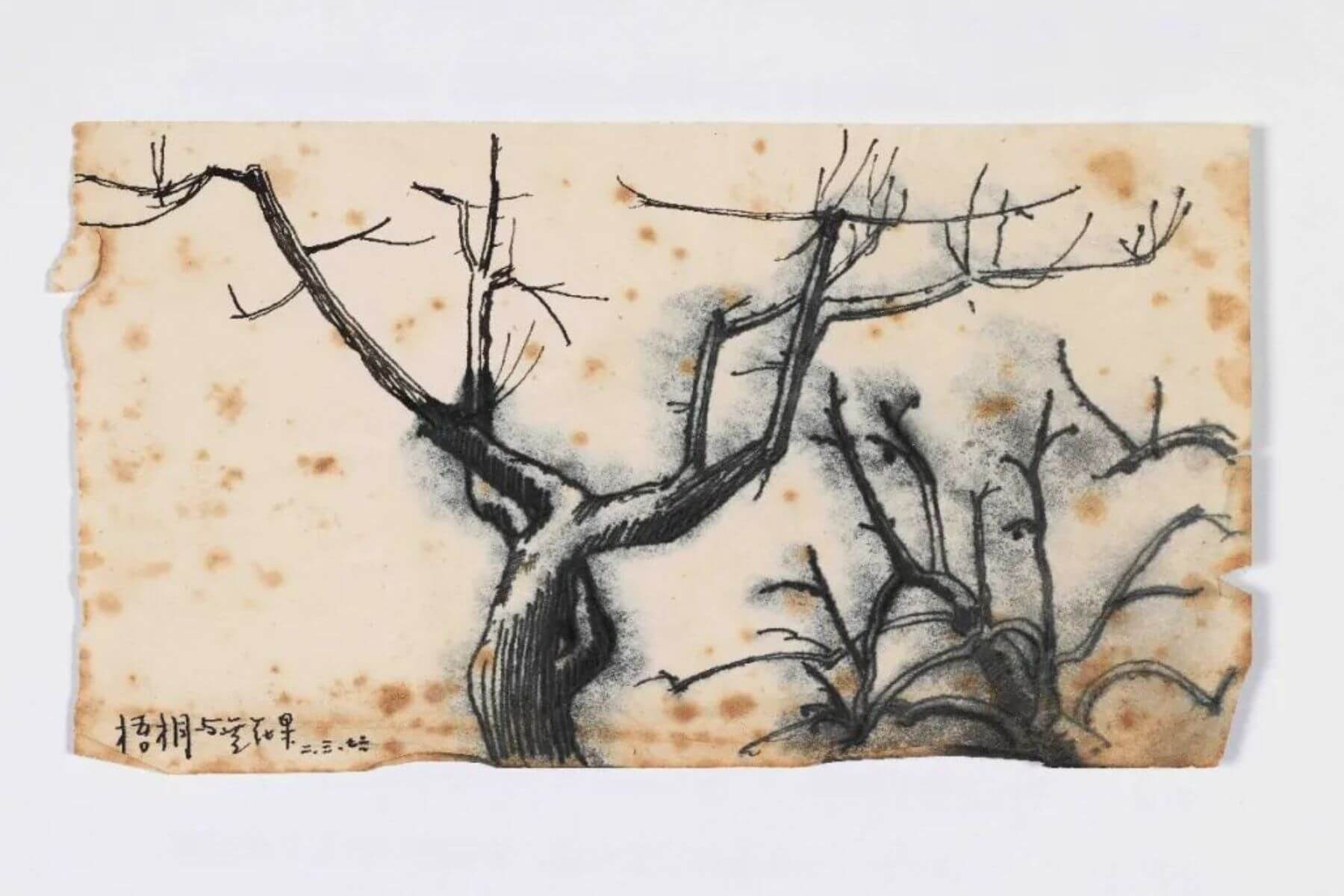 金宇澄〈梧桐與無花果〉，1976，紙本水筆，9x16.3cm。